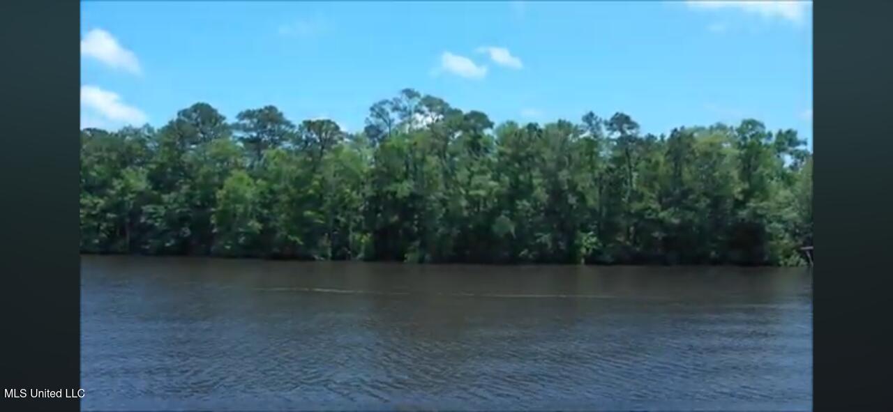 Audubon Trail, Biloxi, Mississippi image 2