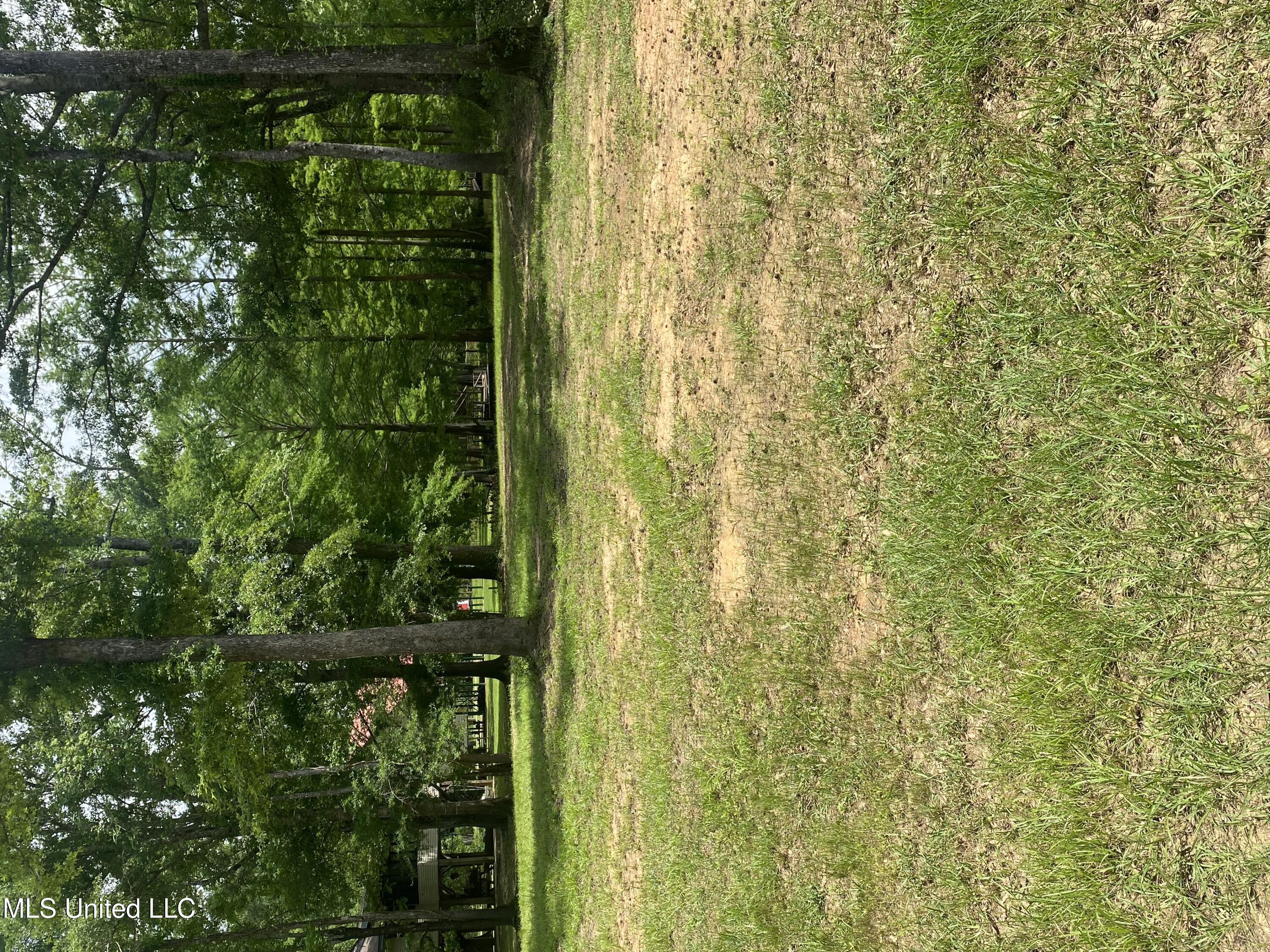 Holly Lane, Lucedale, Mississippi image 1