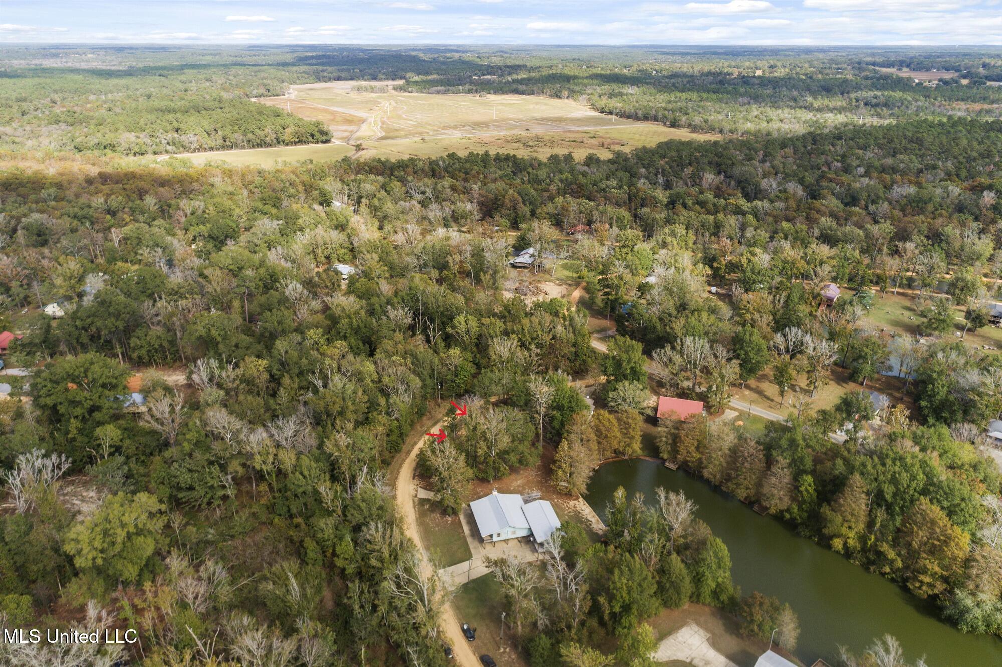 Holly Lane, Lucedale, Mississippi image 4