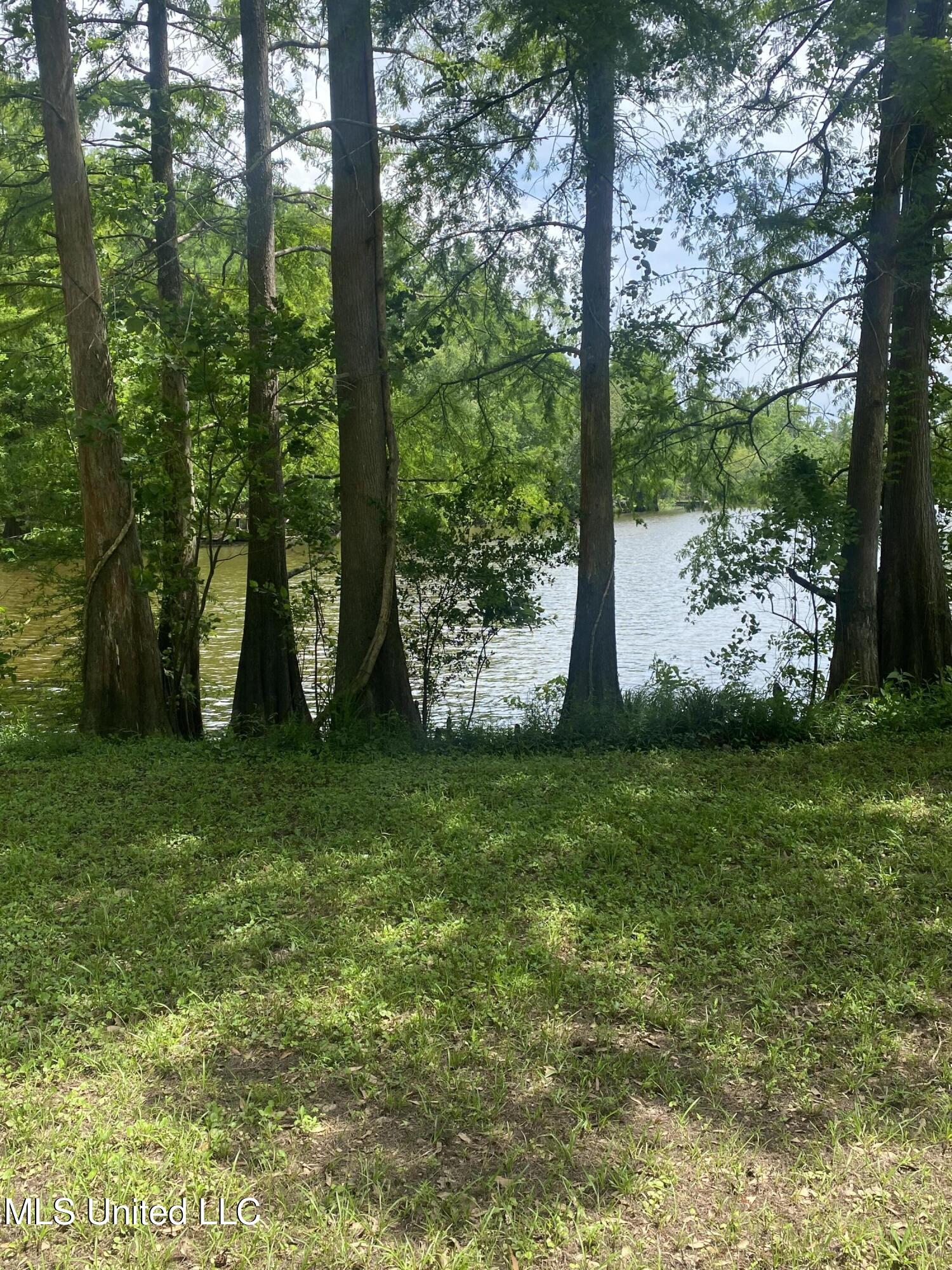 Holly Lane, Lucedale, Mississippi image 2