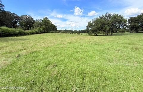 Vacant Land For Sale - TBD 1 Montgomery Road<br/> Lincoln County, Bogue Chitto, MS 39629