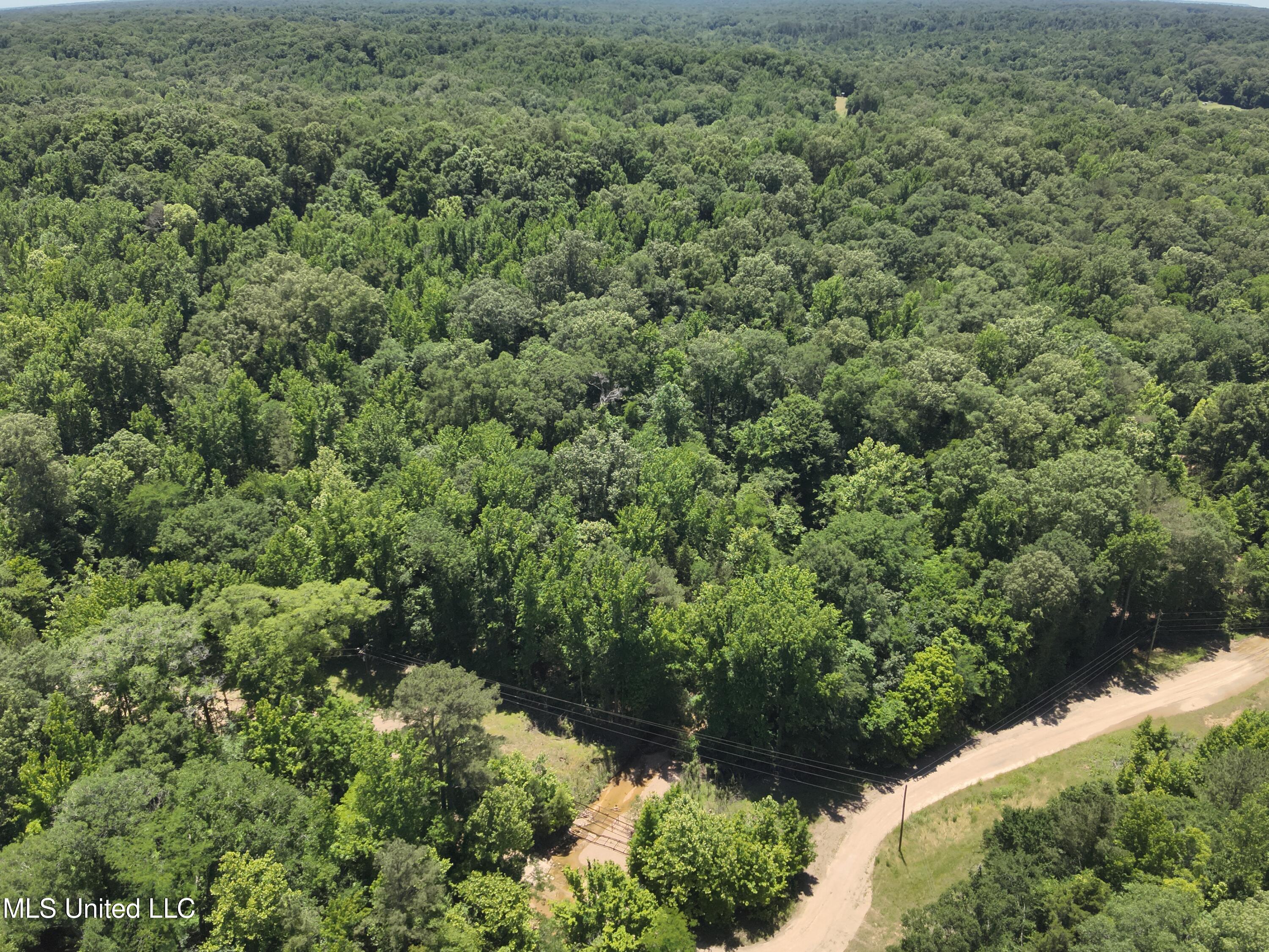 Perry Creek Road Road, Bentonia, Mississippi image 17