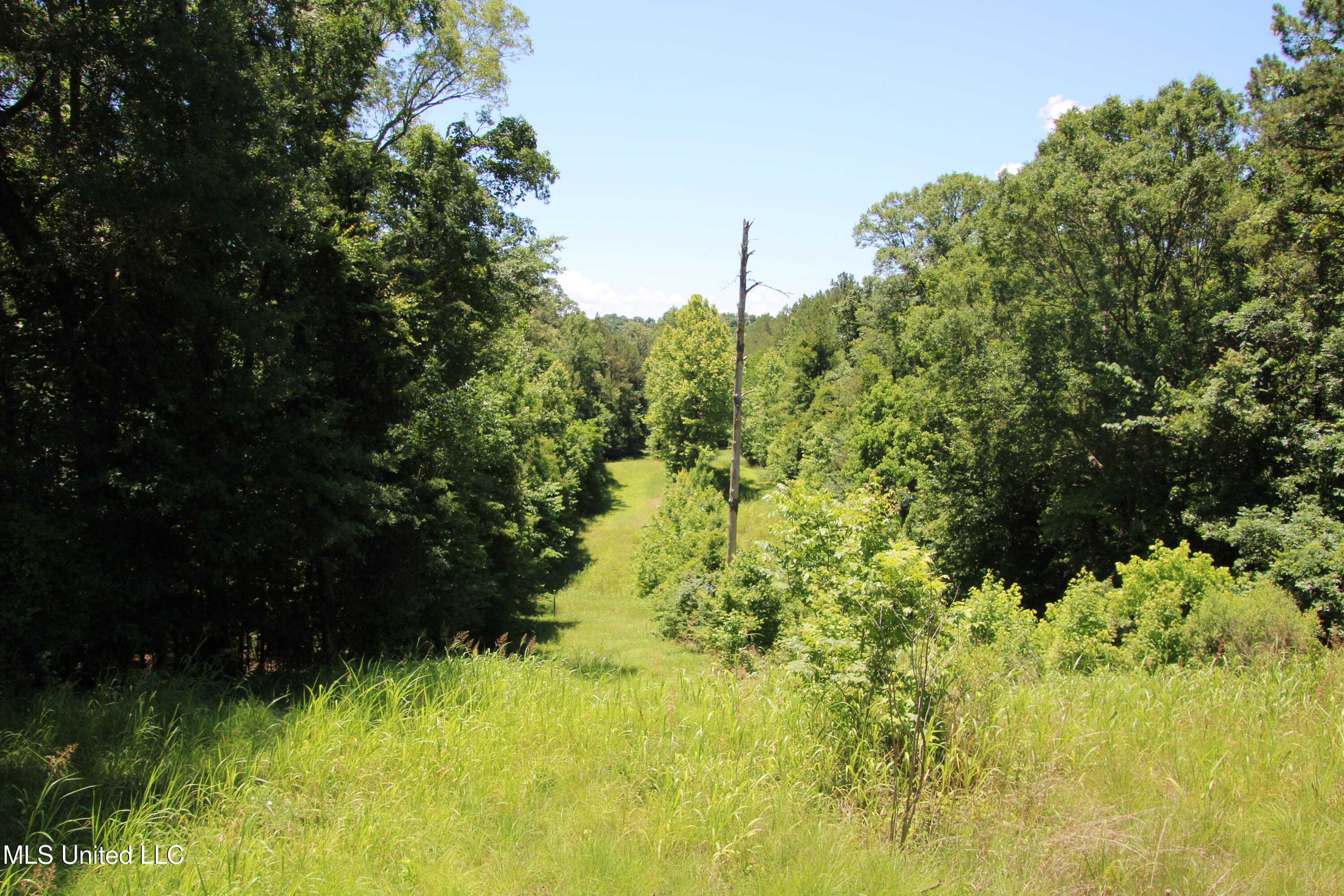 Perry Creek Road Road, Bentonia, Mississippi image 5