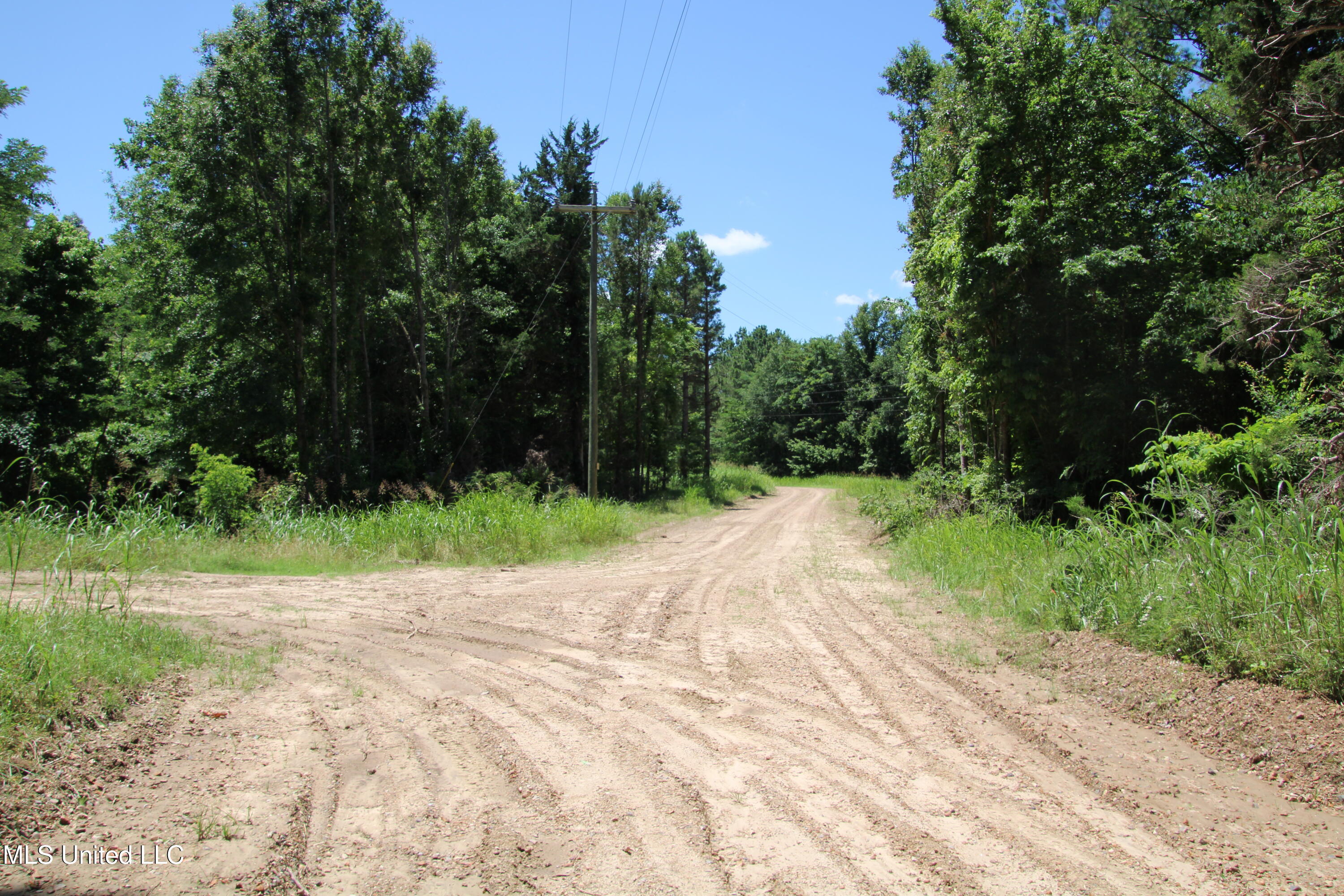 Perry Creek Road Road, Bentonia, Mississippi image 4
