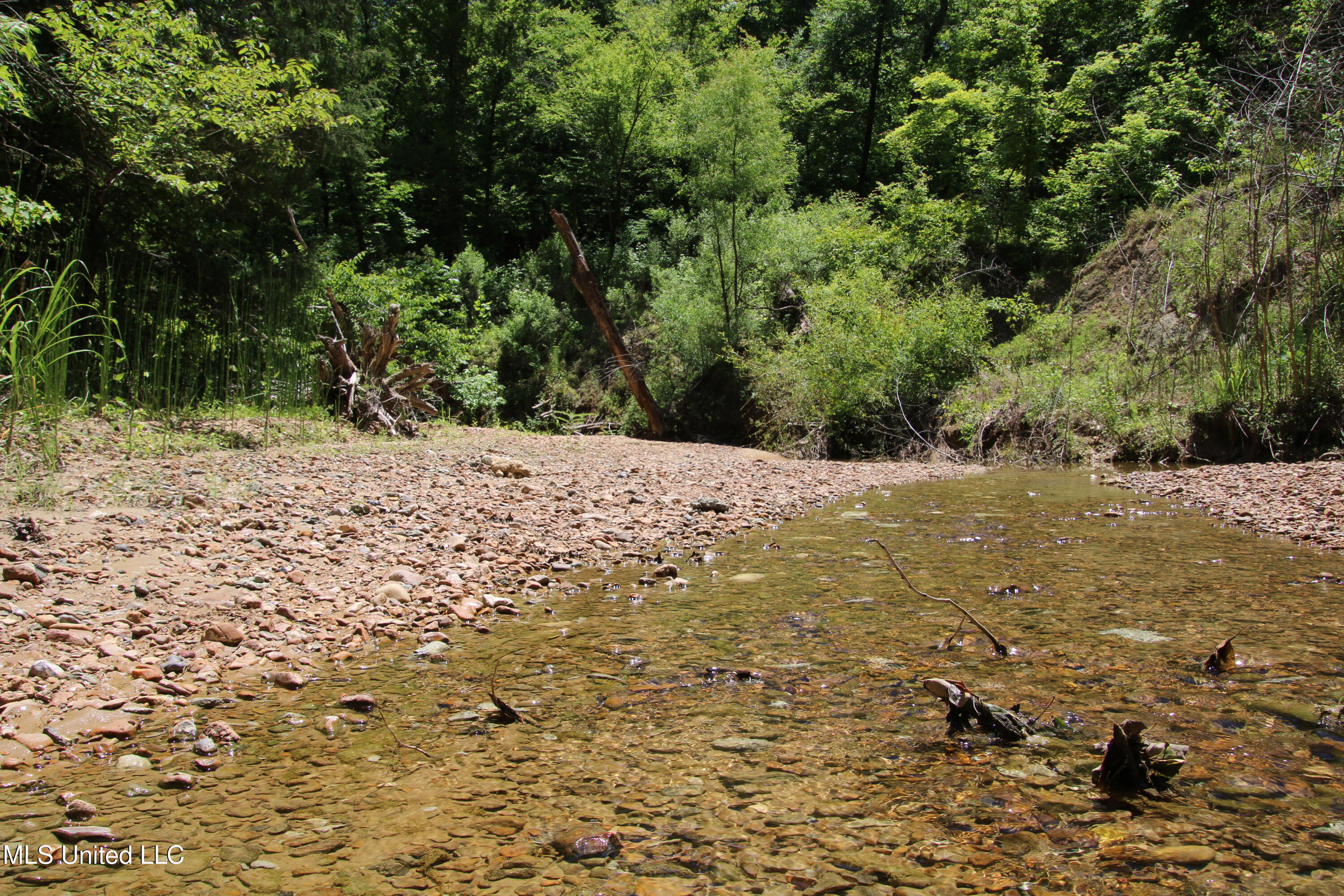 Perry Creek Road Road, Bentonia, Mississippi image 1