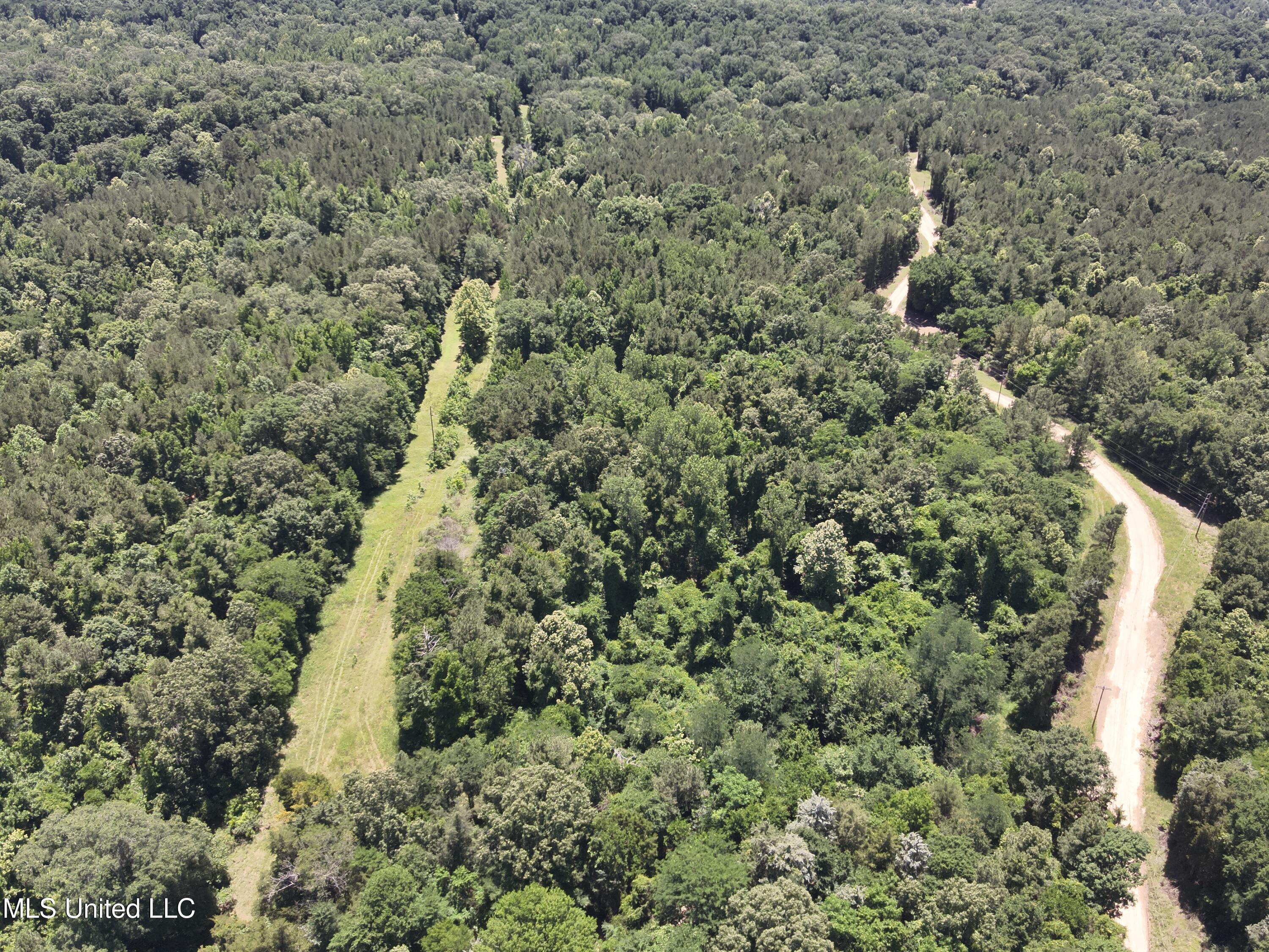 Perry Creek Road Road, Bentonia, Mississippi image 15