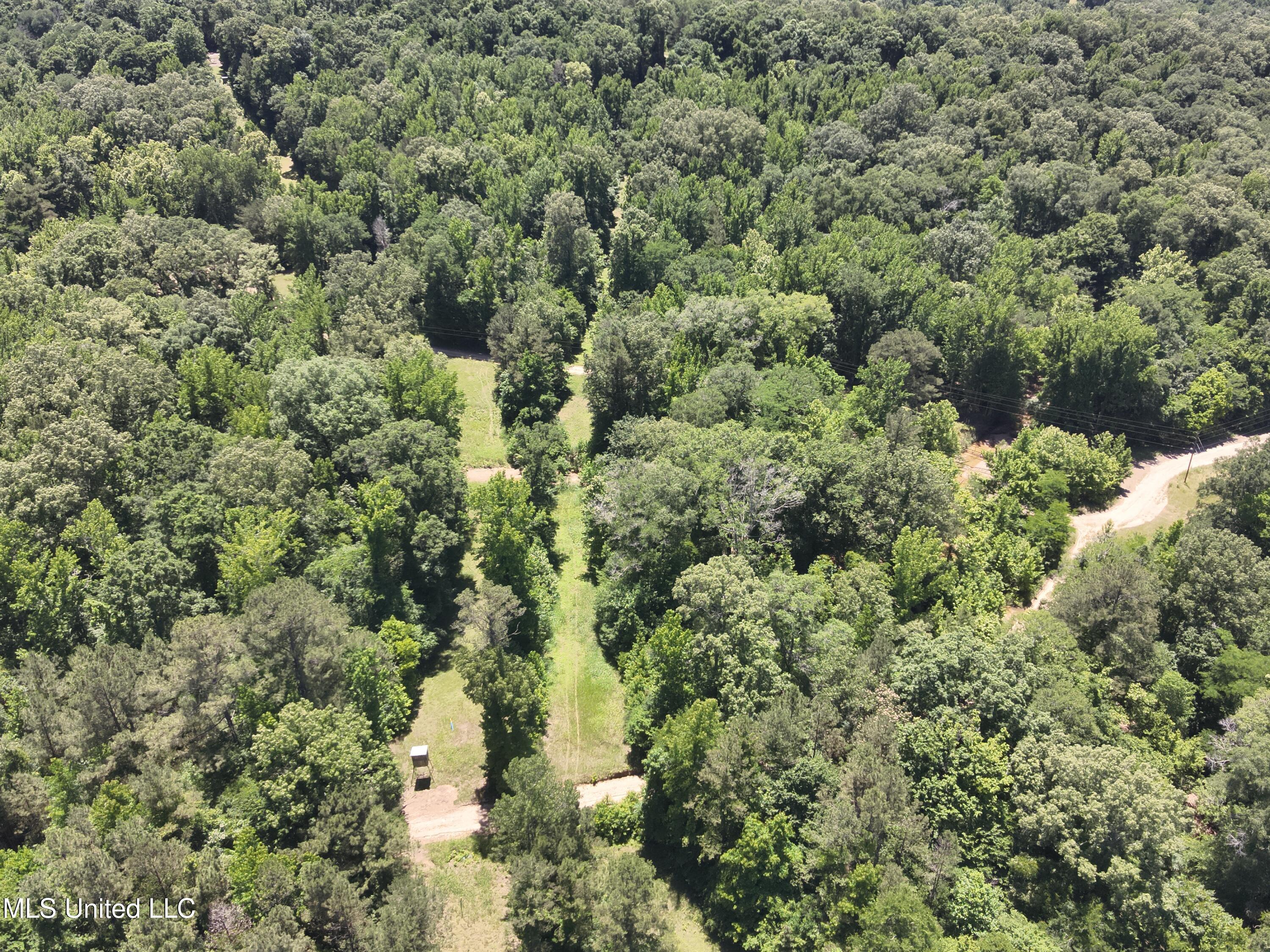 Perry Creek Road Road, Bentonia, Mississippi image 16
