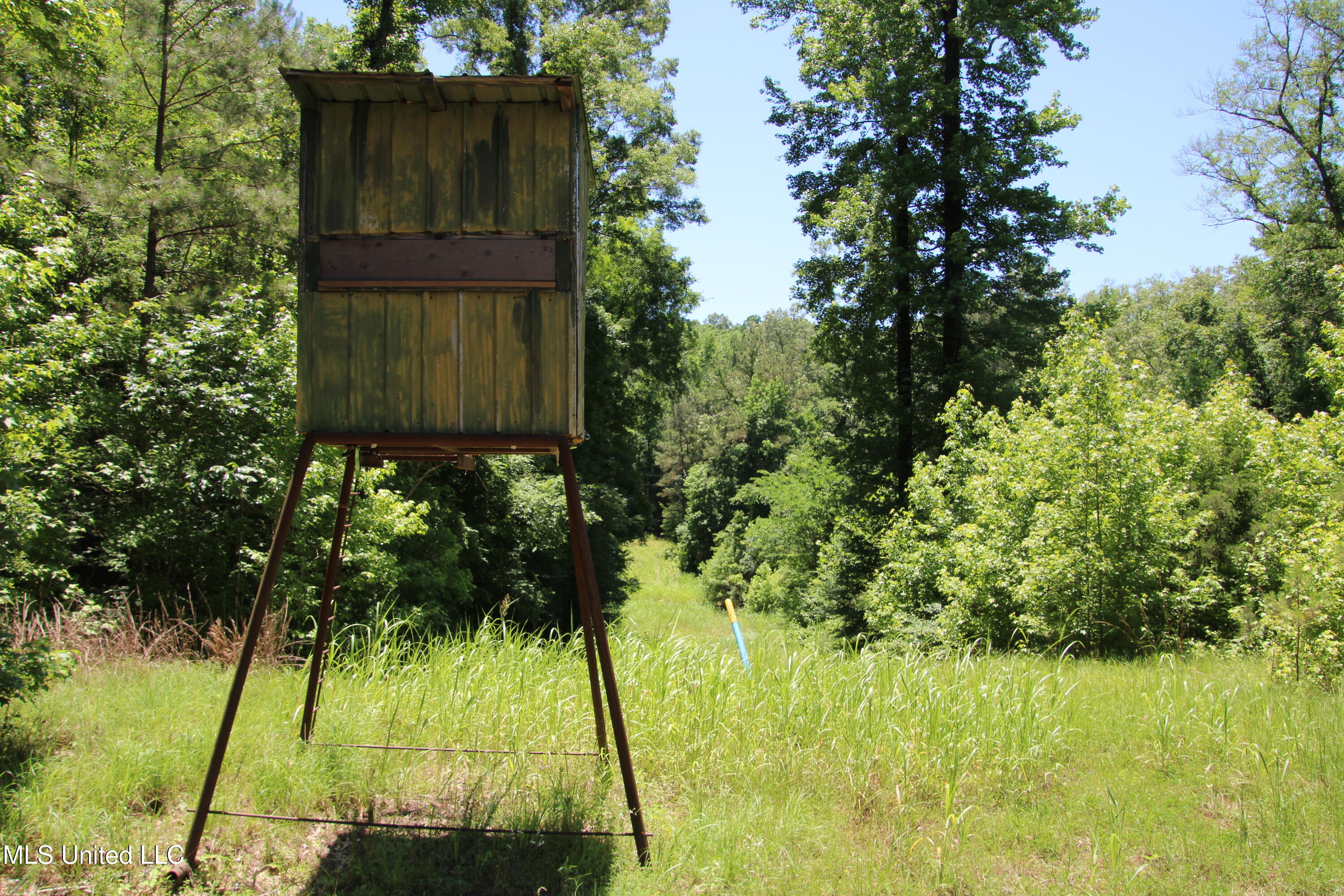 Perry Creek Road Road, Bentonia, Mississippi image 7