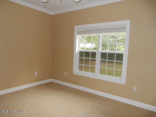 8 Auburn Lane, Hattiesburg, Mississippi image 23