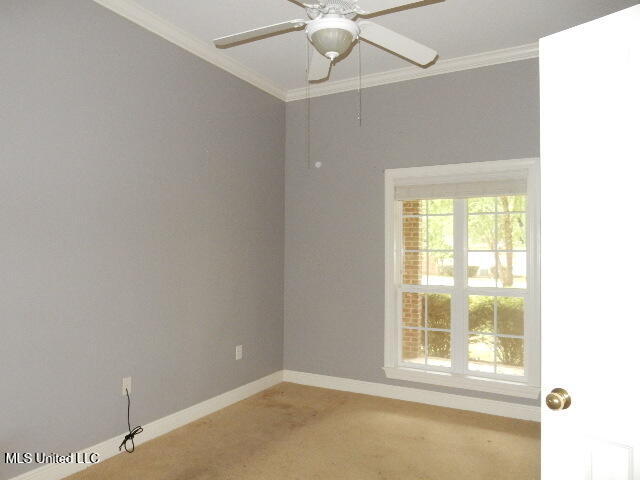 8 Auburn Lane, Hattiesburg, Mississippi image 25