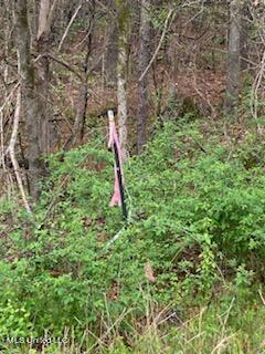 Holly Springs, Mississippi 38635, United States, ,Land,Pending,59844