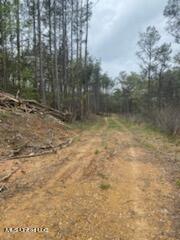 Holly Springs, Mississippi 38635, United States, ,Land,Pending,59844