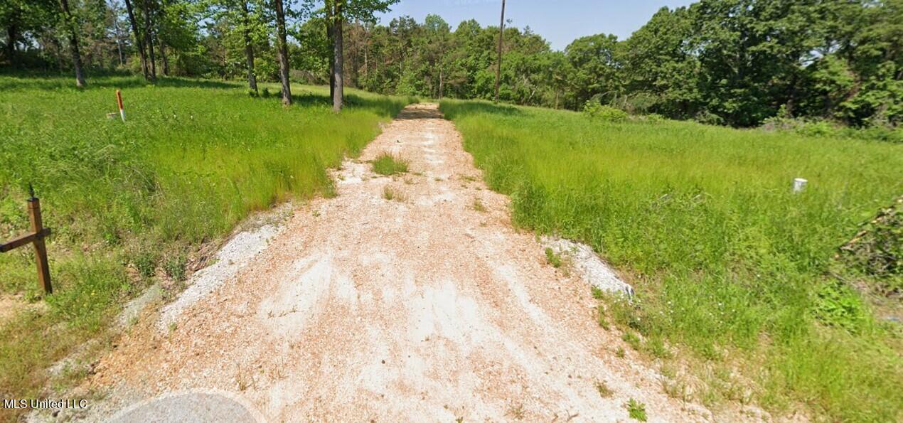 Holly Springs, Mississippi 38635, United States, ,Land,Pending,59844