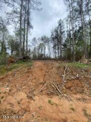 Holly Springs, Mississippi 38635, United States, ,Land,Pending,59844