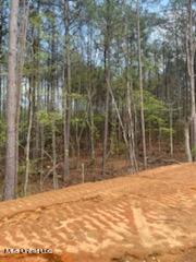Holly Springs, Mississippi 38635, United States, ,Land,Pending,59844