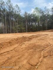 Holly Springs, Mississippi 38635, United States, ,Land,Pending,59844
