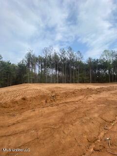 Holly Springs, Mississippi 38635, United States, ,Land,Pending,59844