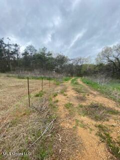 Holly Springs, Mississippi 38635, United States, ,Land,Pending,59844