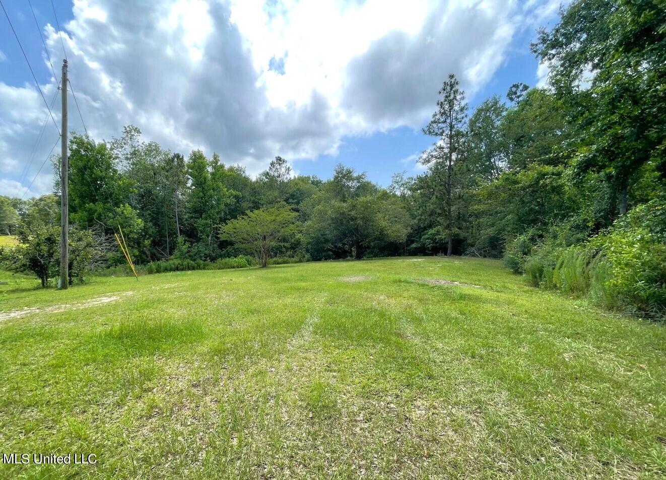 1 Ac Timberidge Road, Lucedale, Mississippi image 9