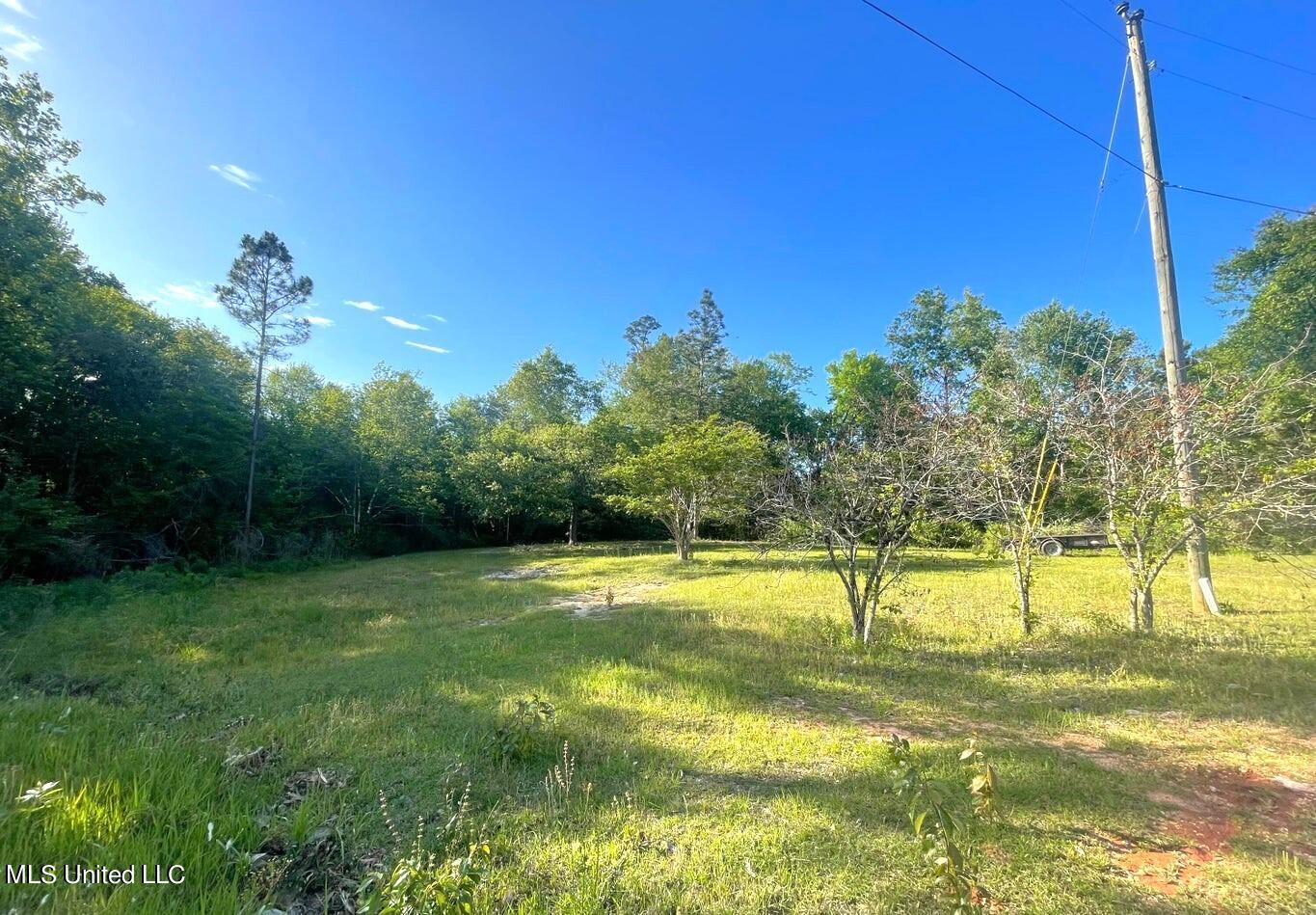 1 Ac Timberidge Road, Lucedale, Mississippi image 7