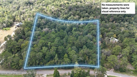 Vacant Land For Sale - Riverline Drive<br/> Saucier, MS 39574
