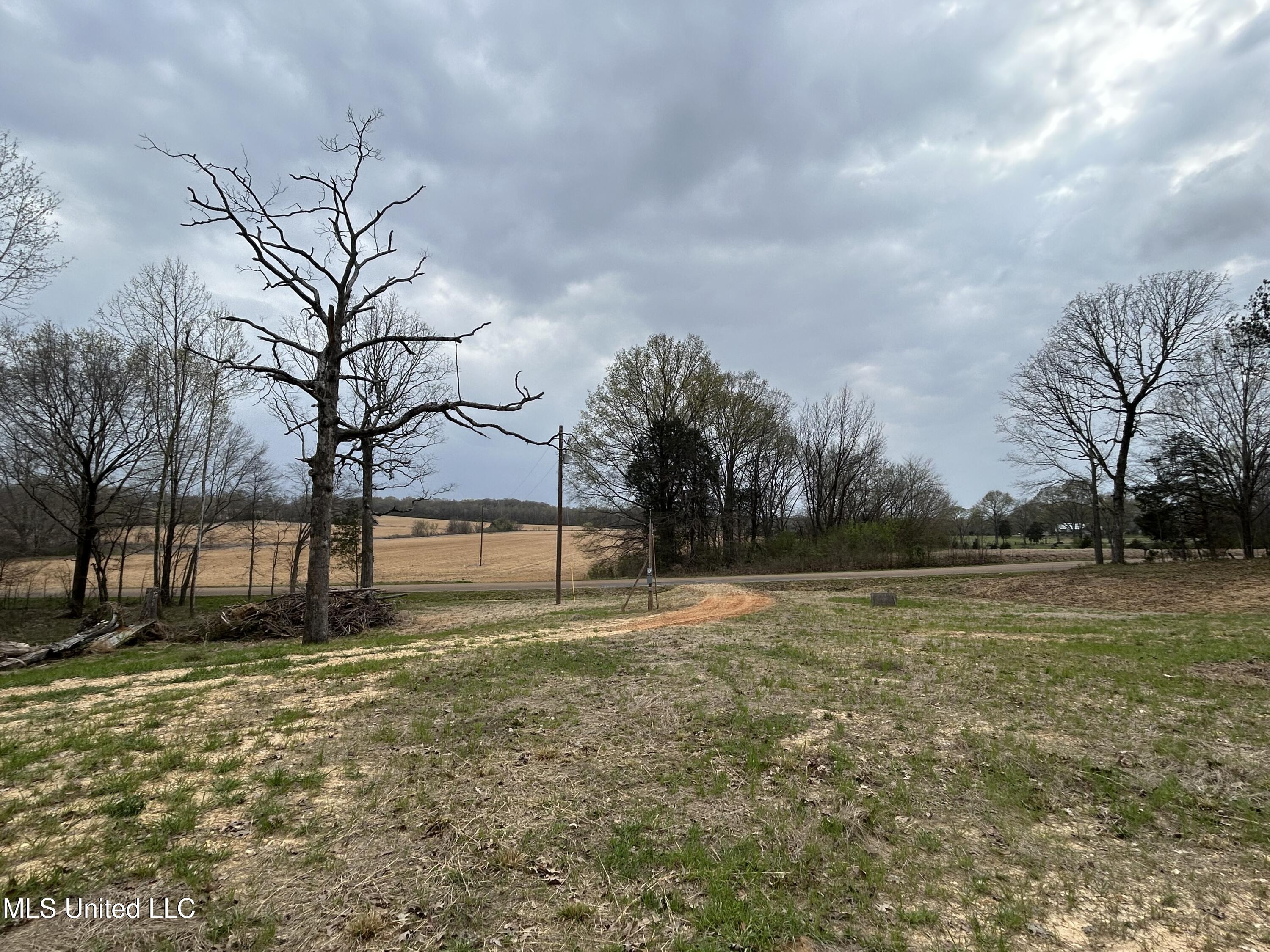 5618 Countyline Rd Road, Hernando, Mississippi image 4