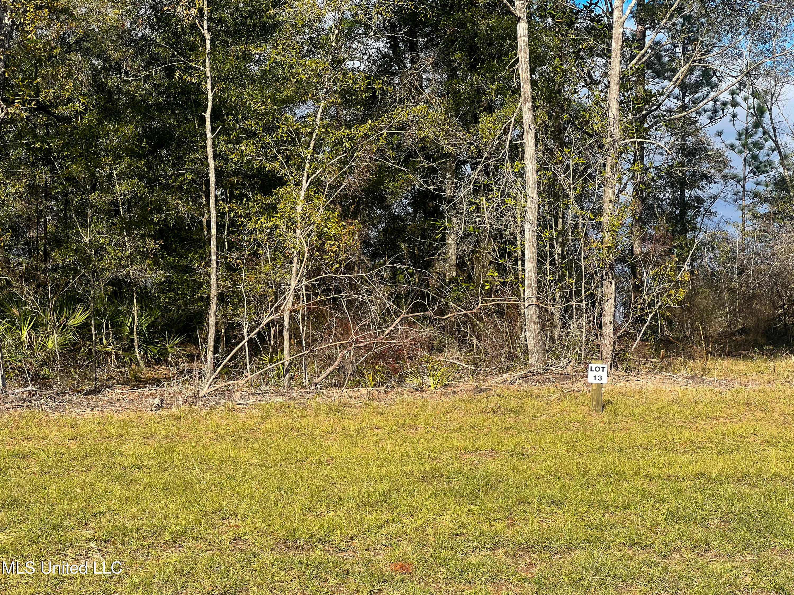 Lot 13 Pine Ridge Lane, Lucedale, Mississippi image 4