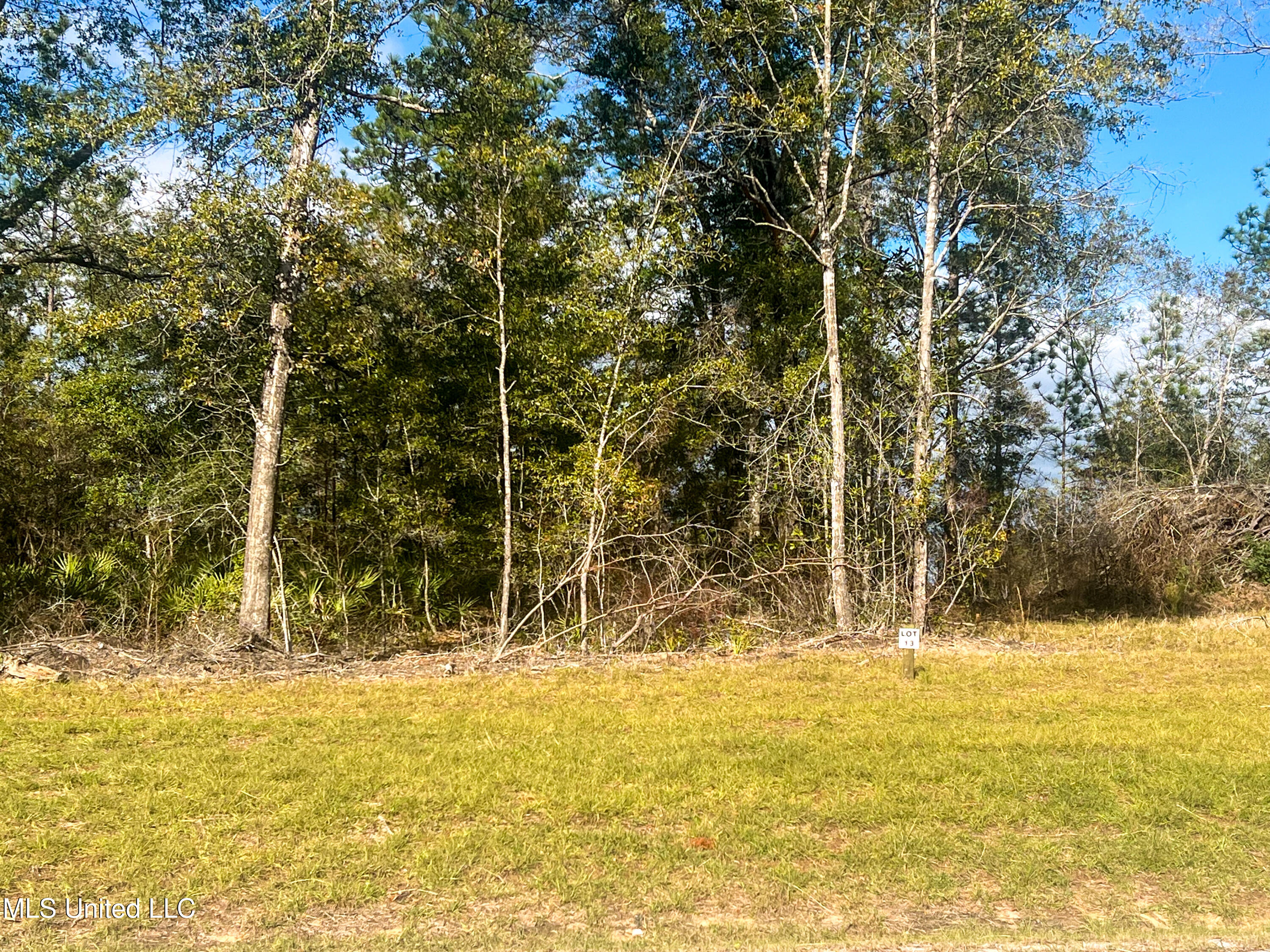 Lot 13 Pine Ridge Lane, Lucedale, Mississippi image 3