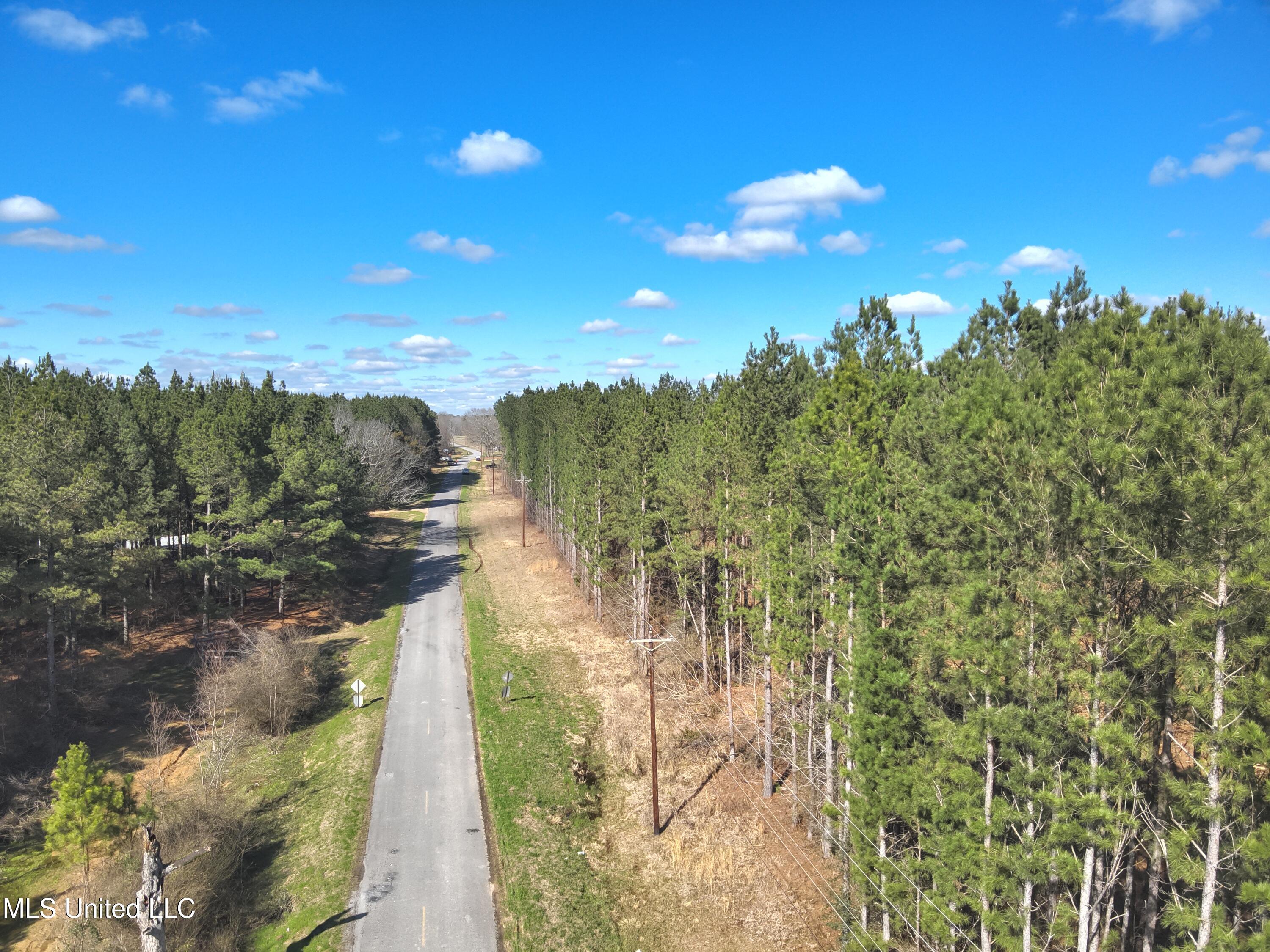 Smith County Road 99, Bay Springs, Mississippi image 9