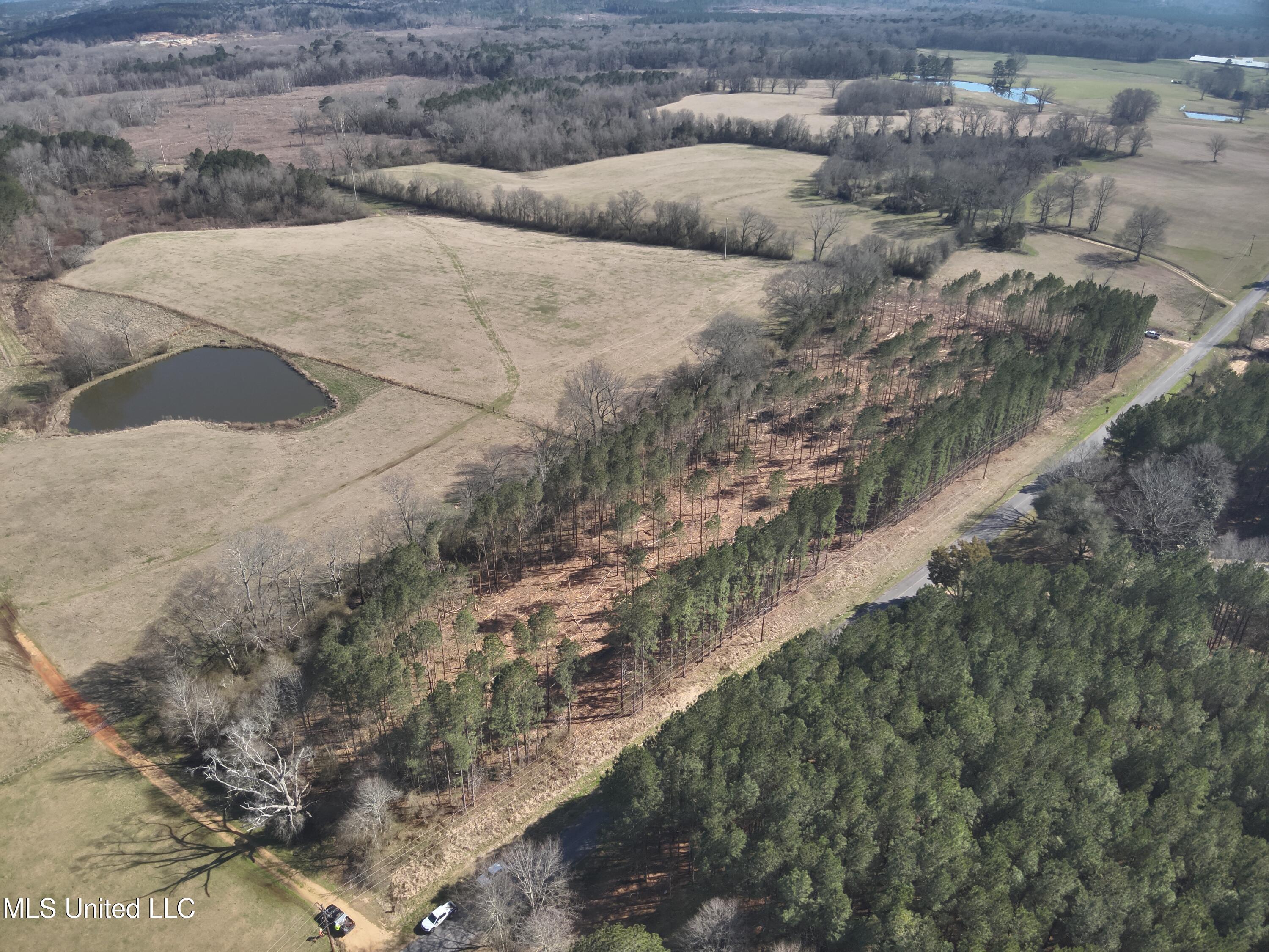 Smith County Road 99, Bay Springs, Mississippi image 5