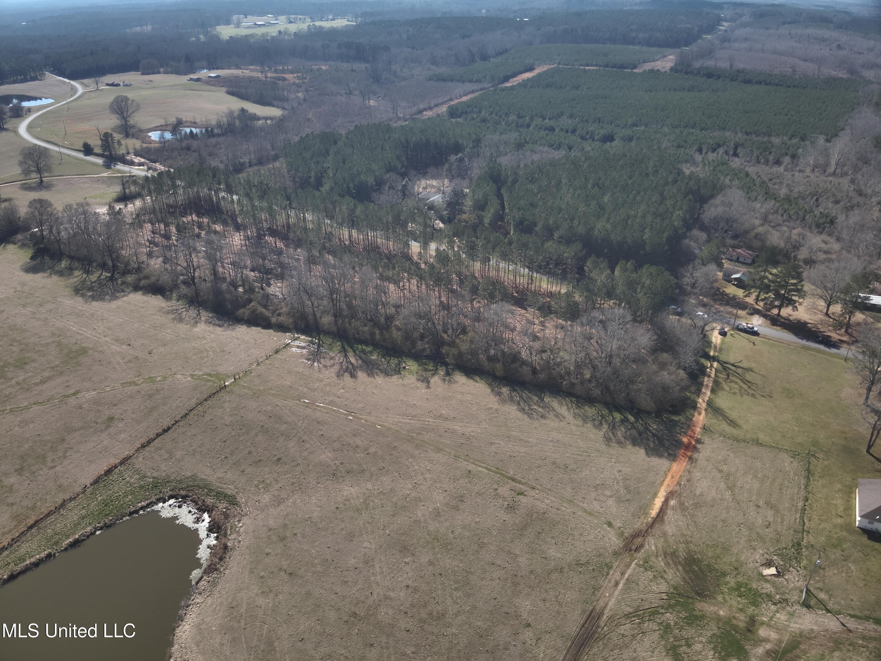 Smith County Road 99, Bay Springs, Mississippi image 7