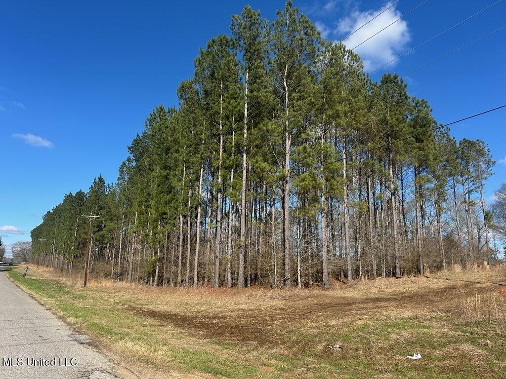 Smith County Road 99, Bay Springs, Mississippi image 1