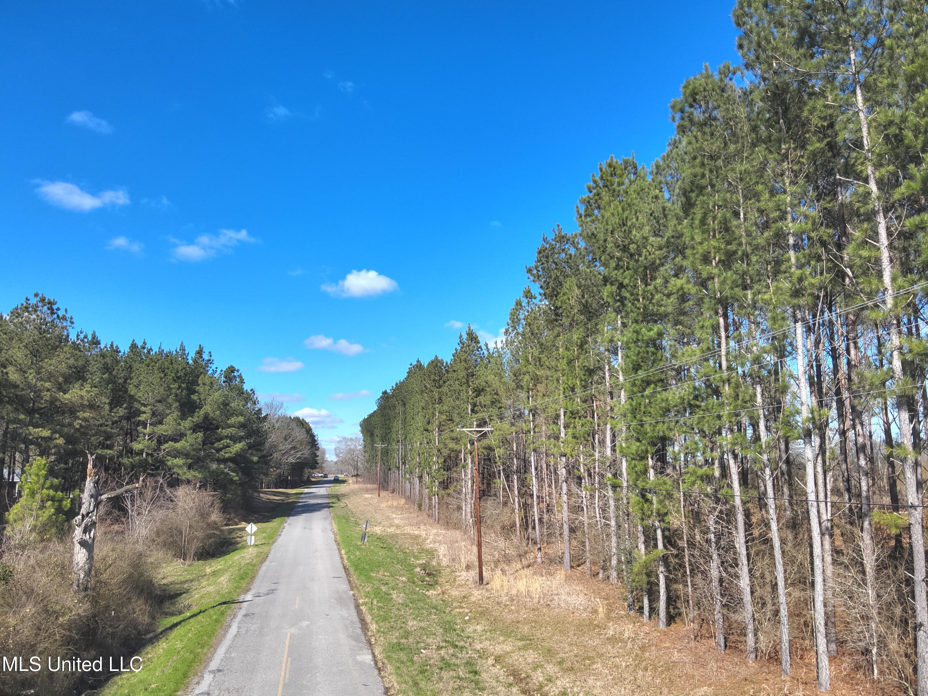 Smith County Road 99, Bay Springs, Mississippi image 8