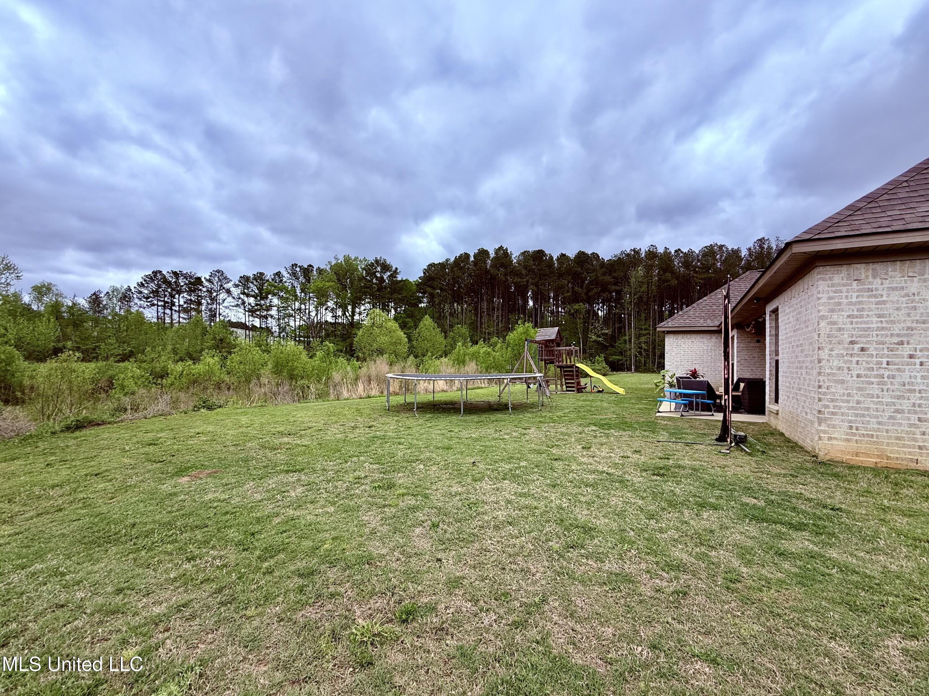 631 Wild Horse Lane, Brandon, Mississippi image 43