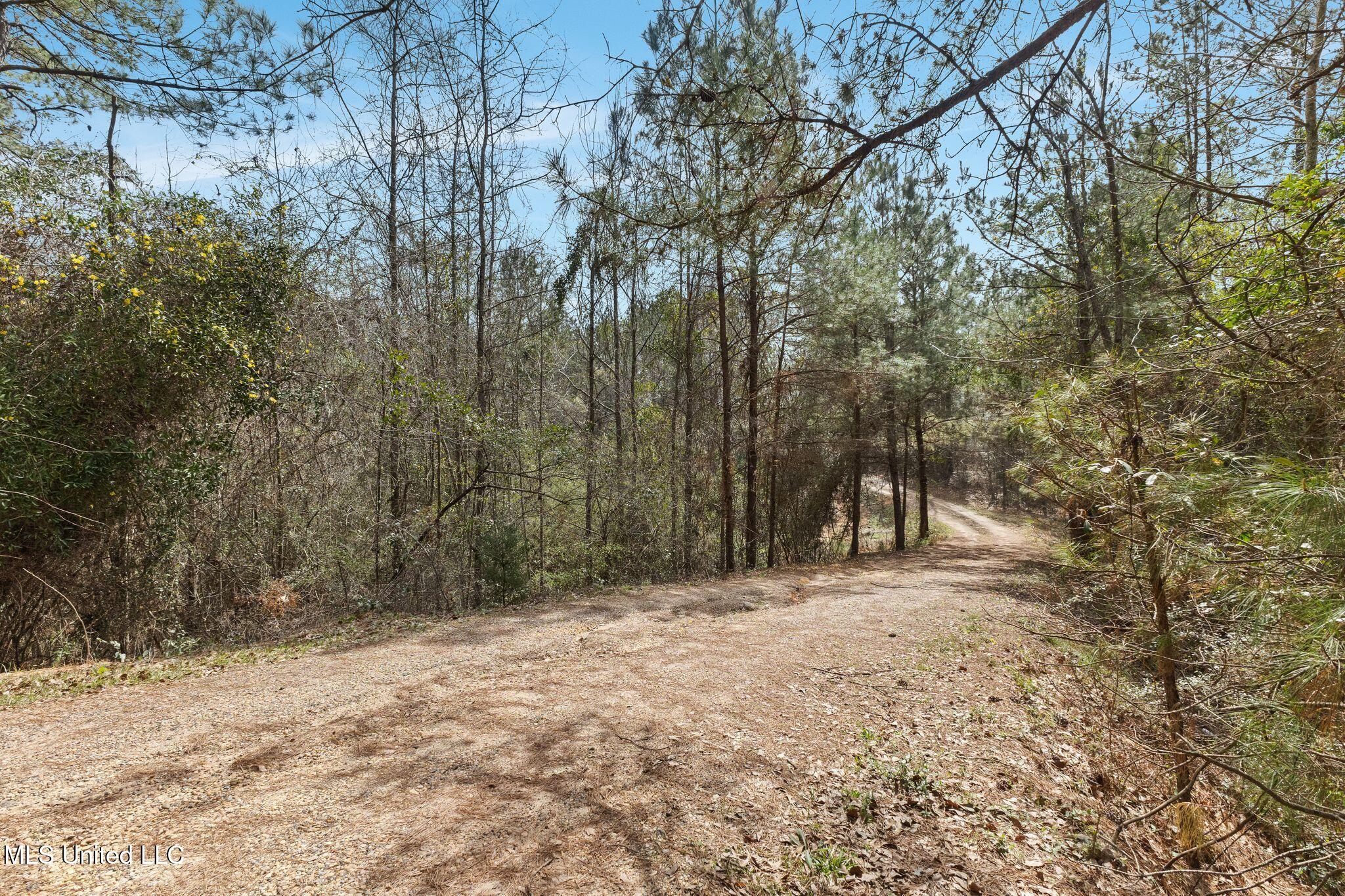 838 Ms-535, Seminary, Mississippi image 35