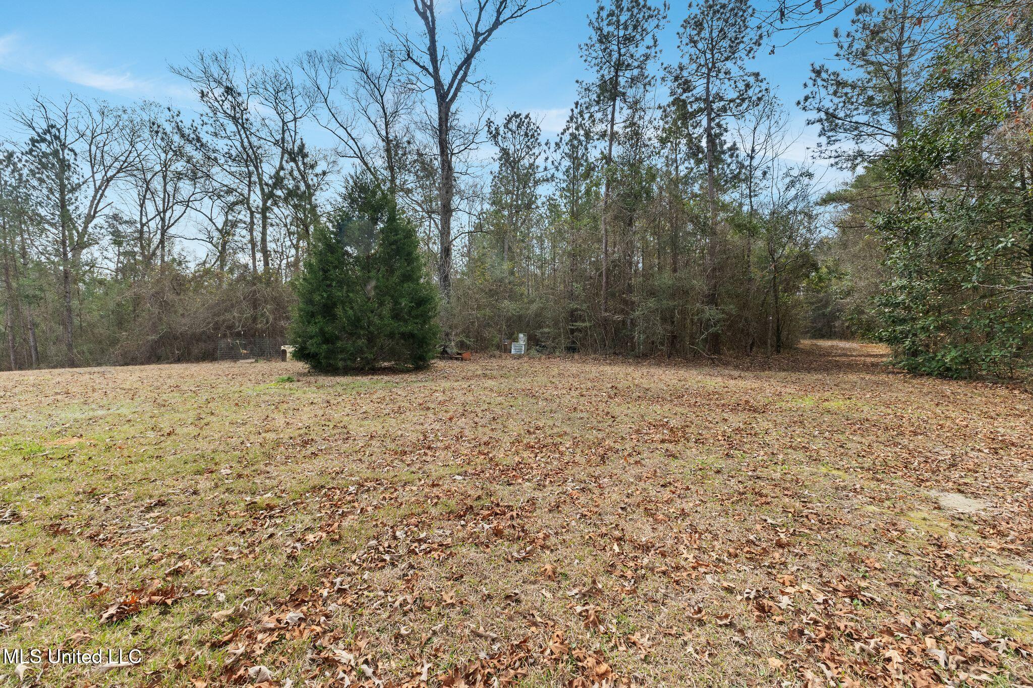 838 Ms-535, Seminary, Mississippi image 33
