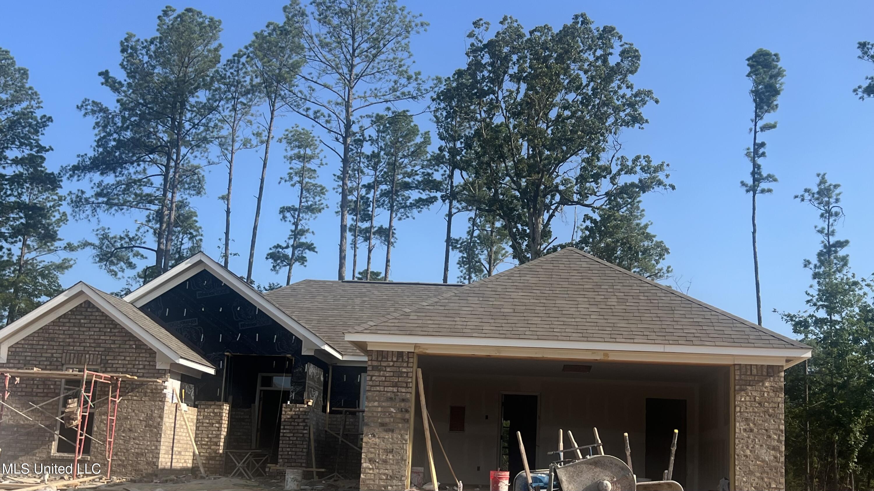 205 Hemingway Circle, Canton, Mississippi image 1