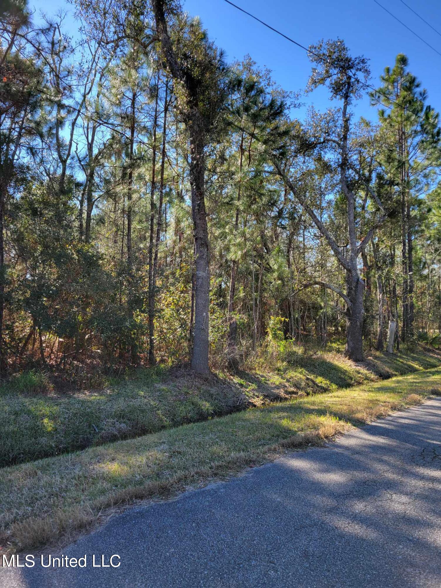 Red Street, Waveland, Mississippi image 4