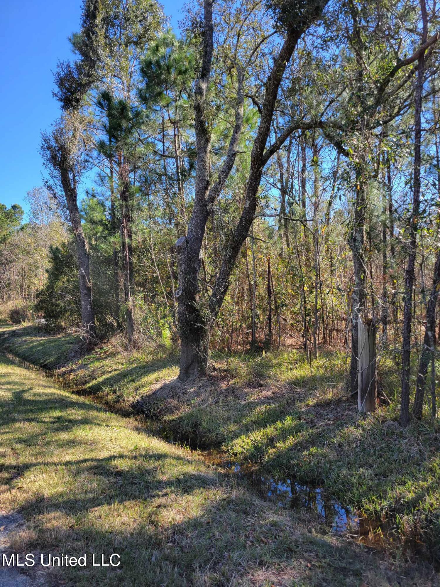 Red Street, Waveland, Mississippi image 2