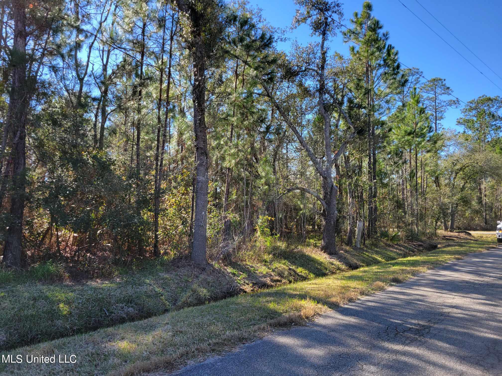 Red Street, Waveland, Mississippi image 3