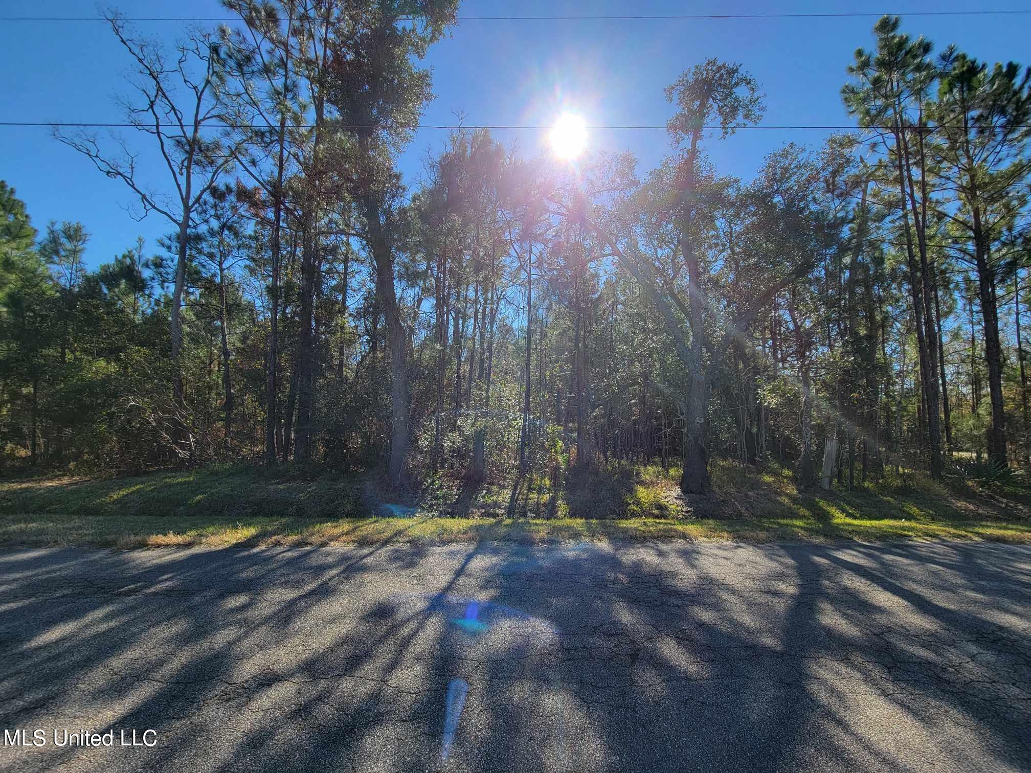 Red Street, Waveland, Mississippi image 5