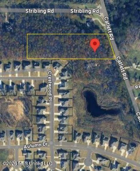 Vacant Land For Sale - 399 Catlett Road<br/> Madison County, Madison, MS 39110