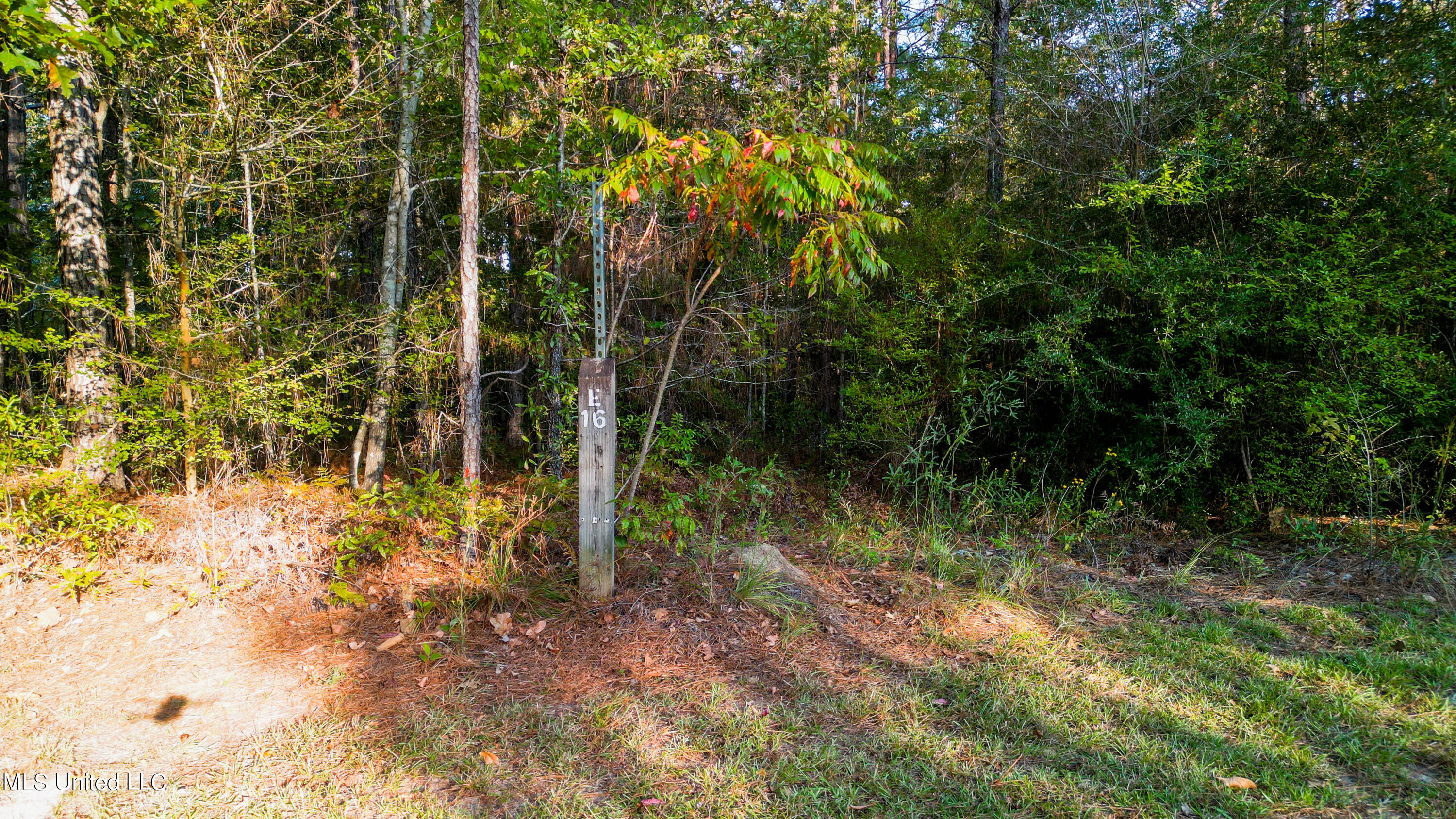 Lot E-16 Windstone Street, Hattiesburg, Mississippi image 3