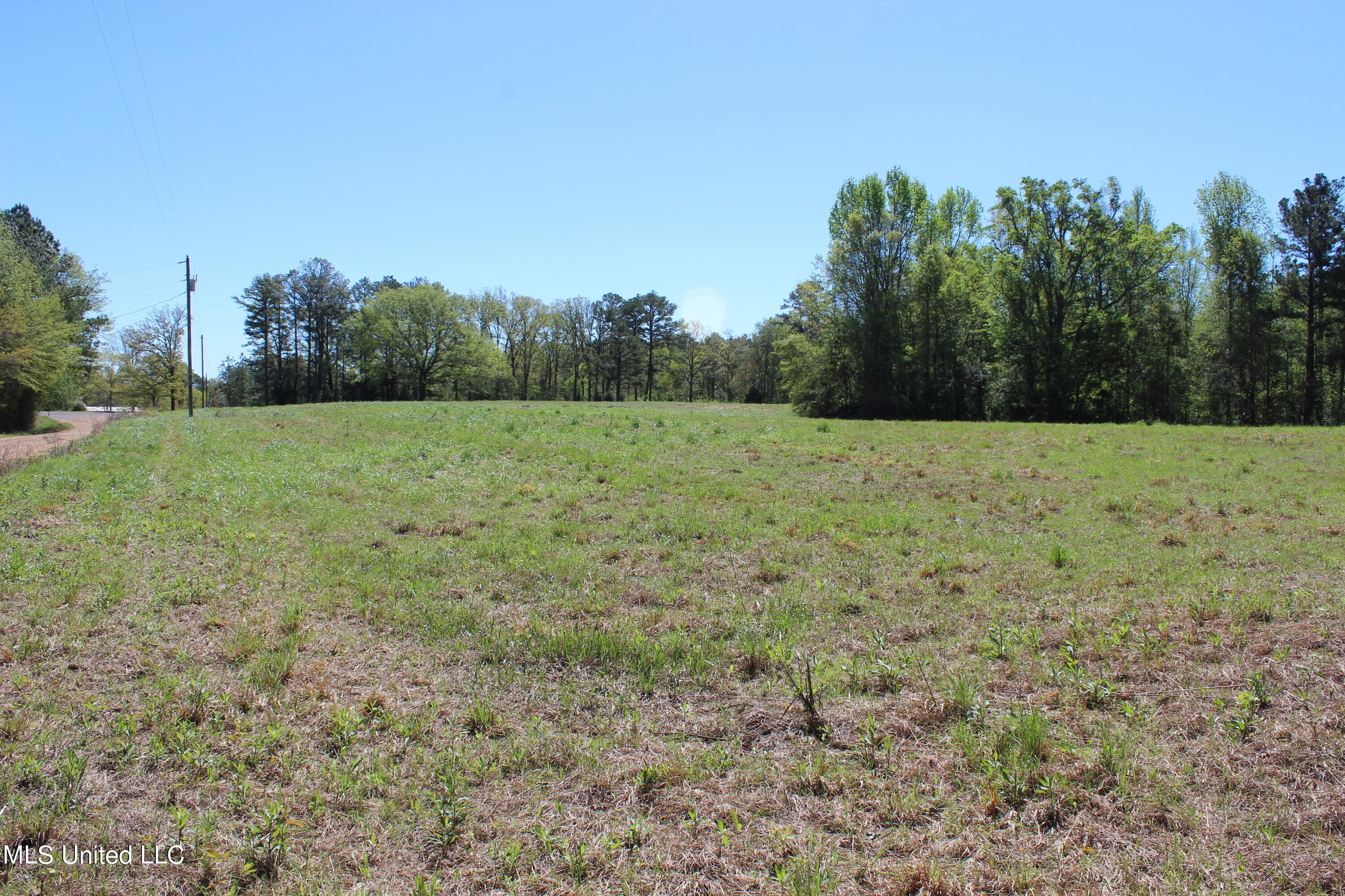 Melvin Leach  Road, Union, Mississippi image 11