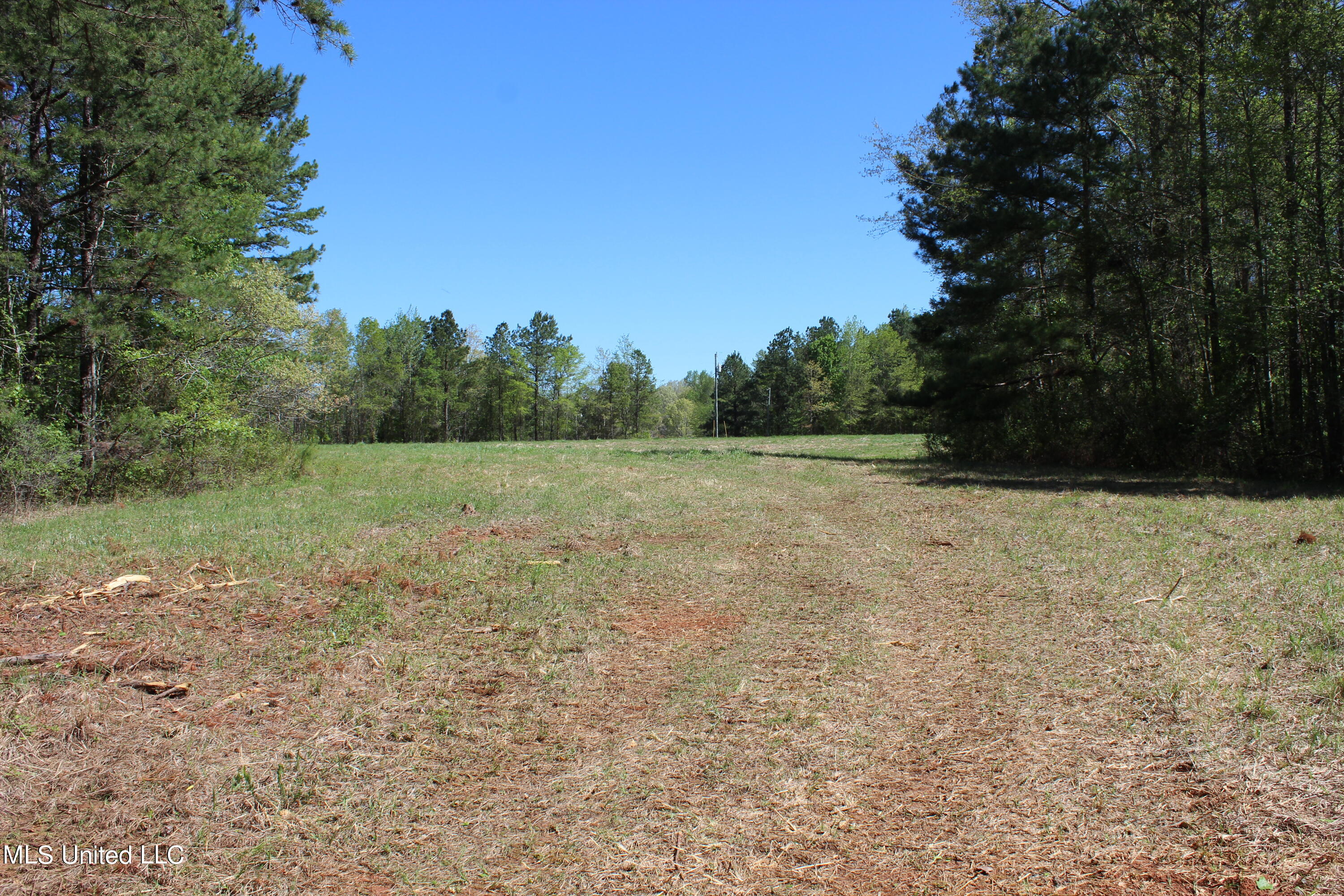 Melvin Leach  Road, Union, Mississippi image 15