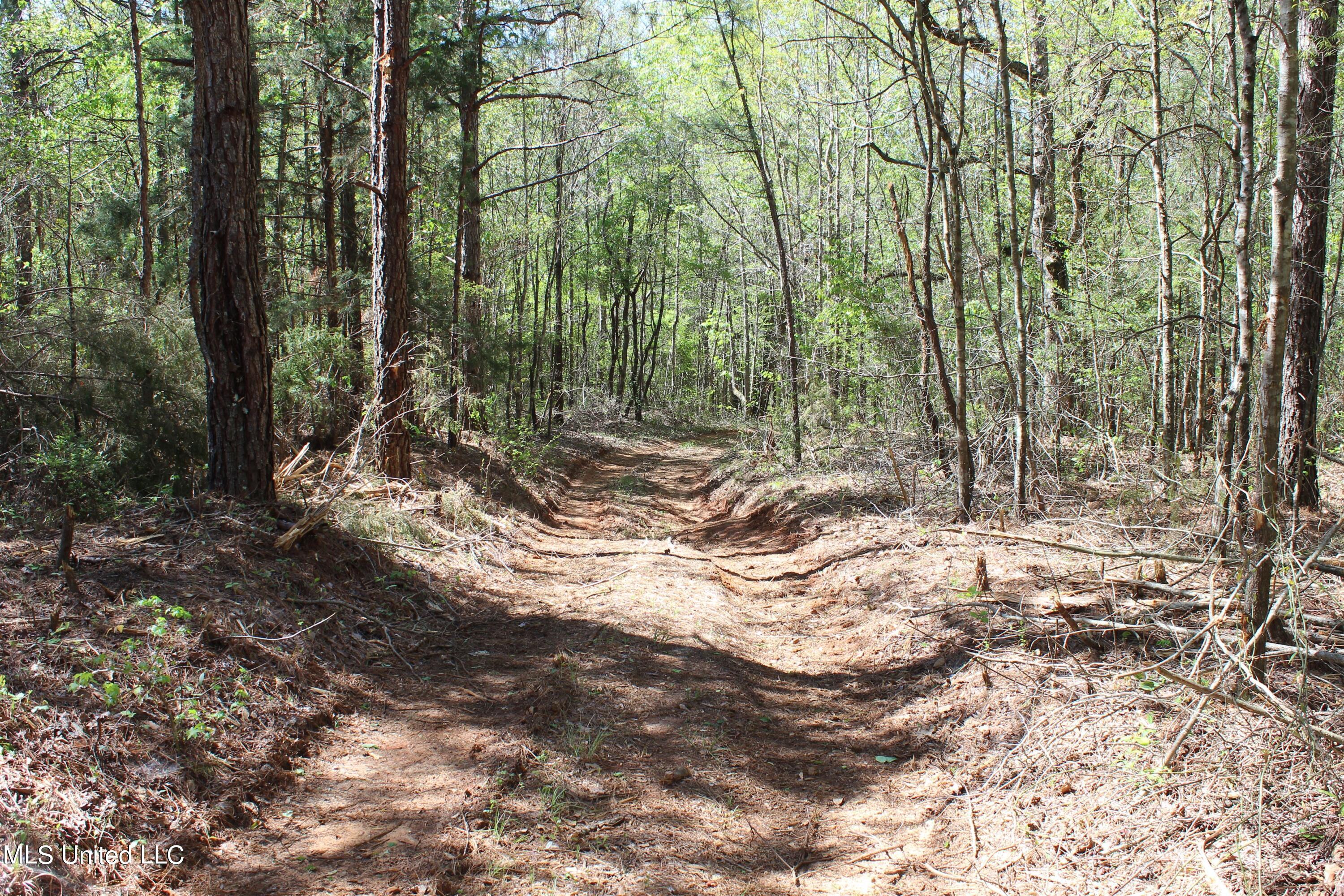 Melvin Leach  Road, Union, Mississippi image 35