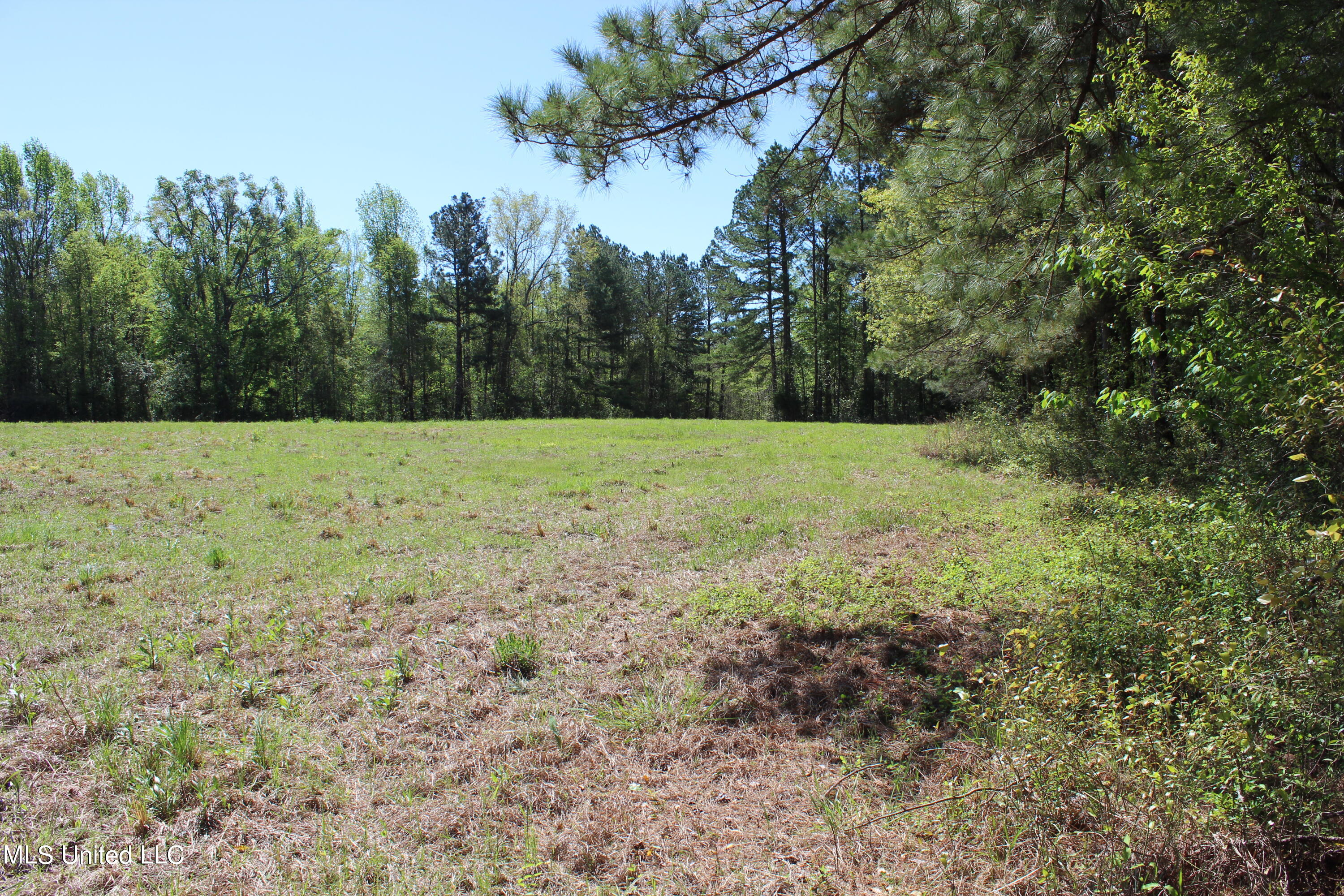 Melvin Leach  Road, Union, Mississippi image 13