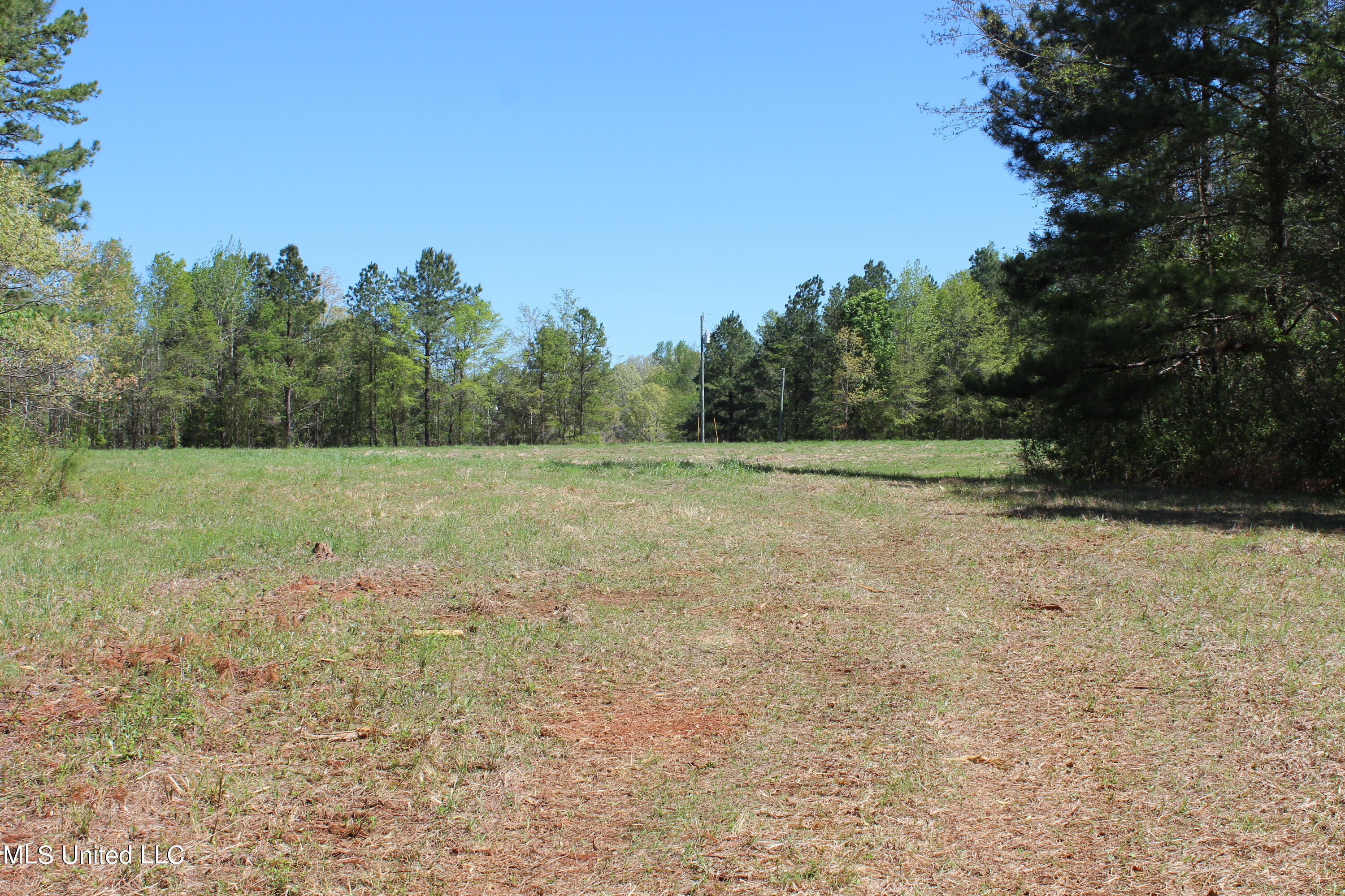 Melvin Leach  Road, Union, Mississippi image 16