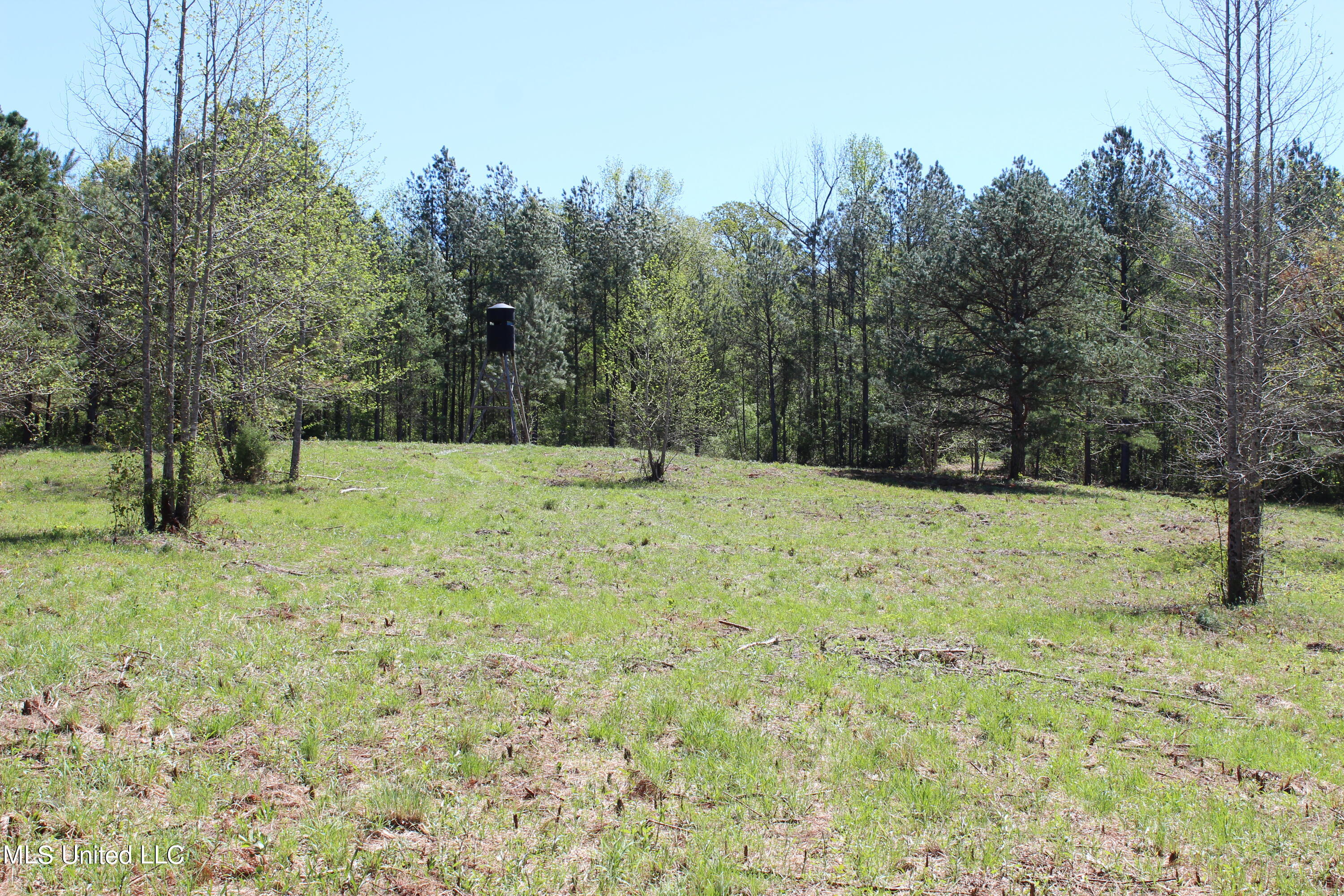 Melvin Leach  Road, Union, Mississippi image 27