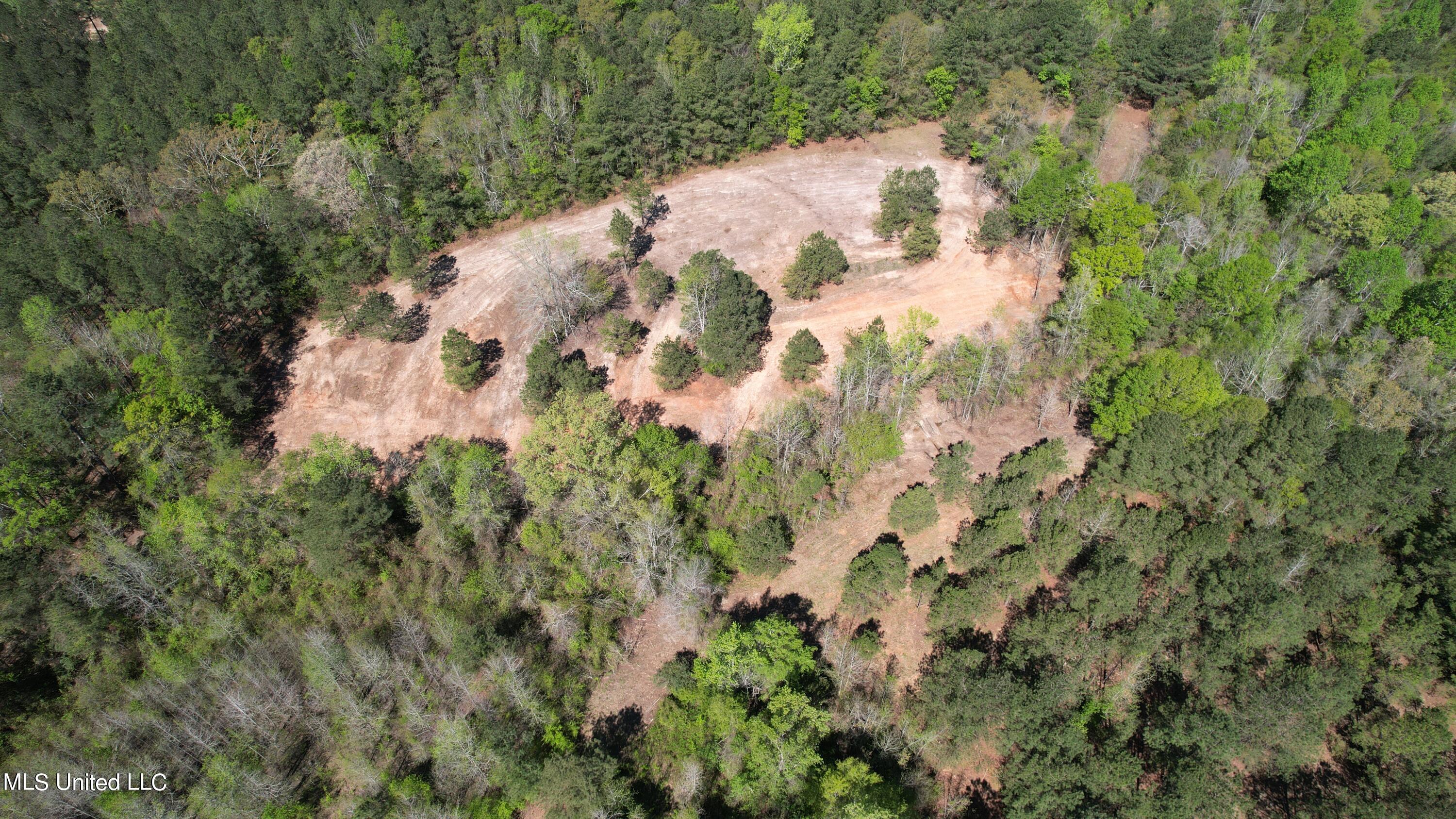 Melvin Leach  Road, Union, Mississippi image 7